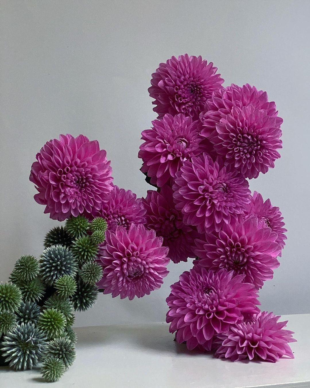 flower2.jpg