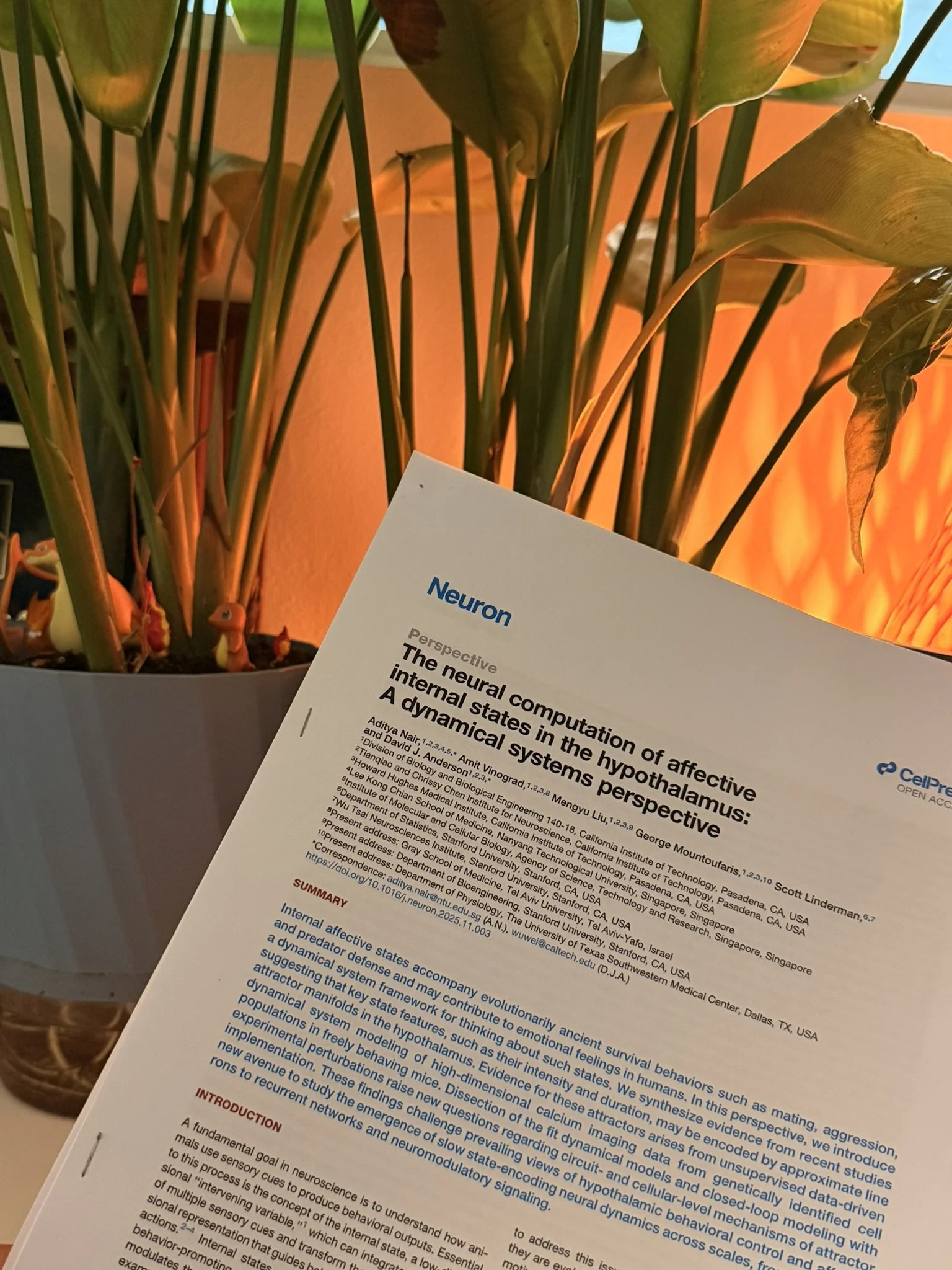 [Dec 3 2025] The lab published our first review on the neural computation of affective internal states in Neuron!