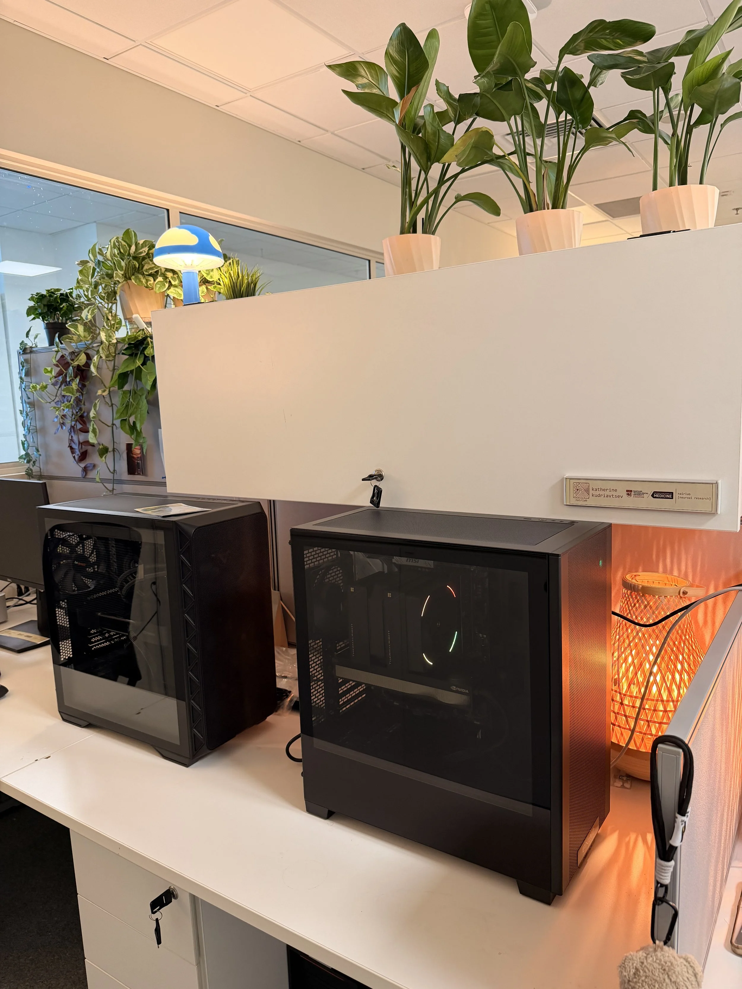 [August 20206] Our new workstations, equipped with the RTX6000 Blackwell GPUs just arrived!