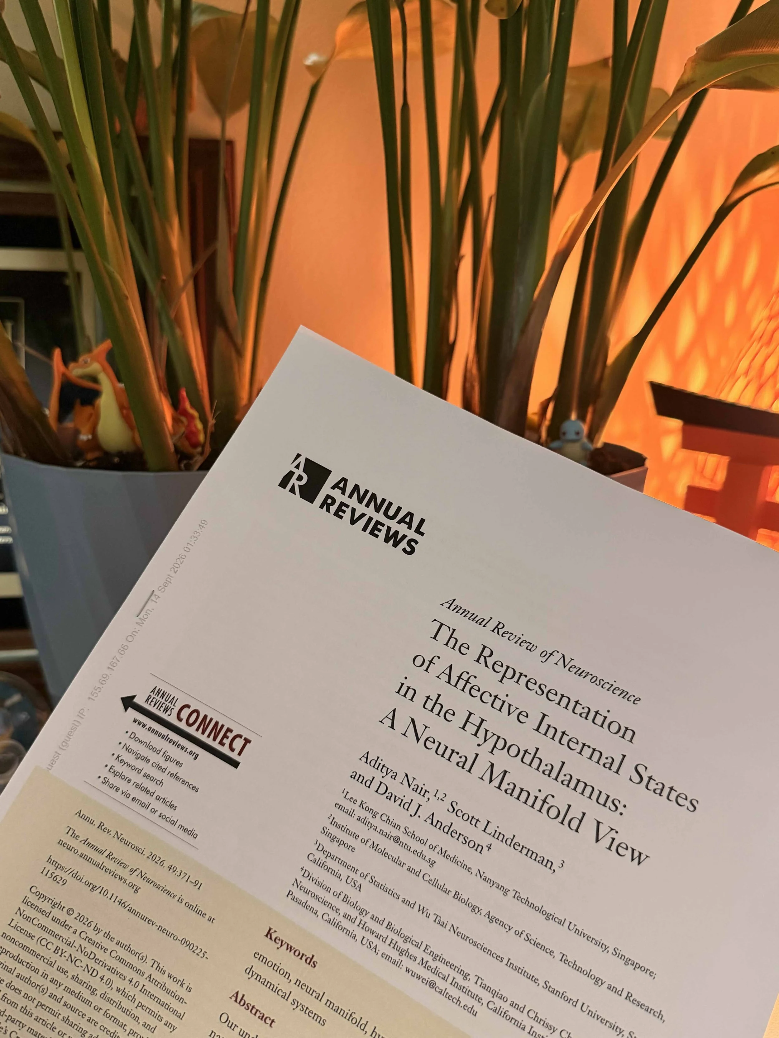 [July 8 2026] The lab published our latest review on neural manifold dynamics underlying affect in the Annual Reviews of Neuroscience!