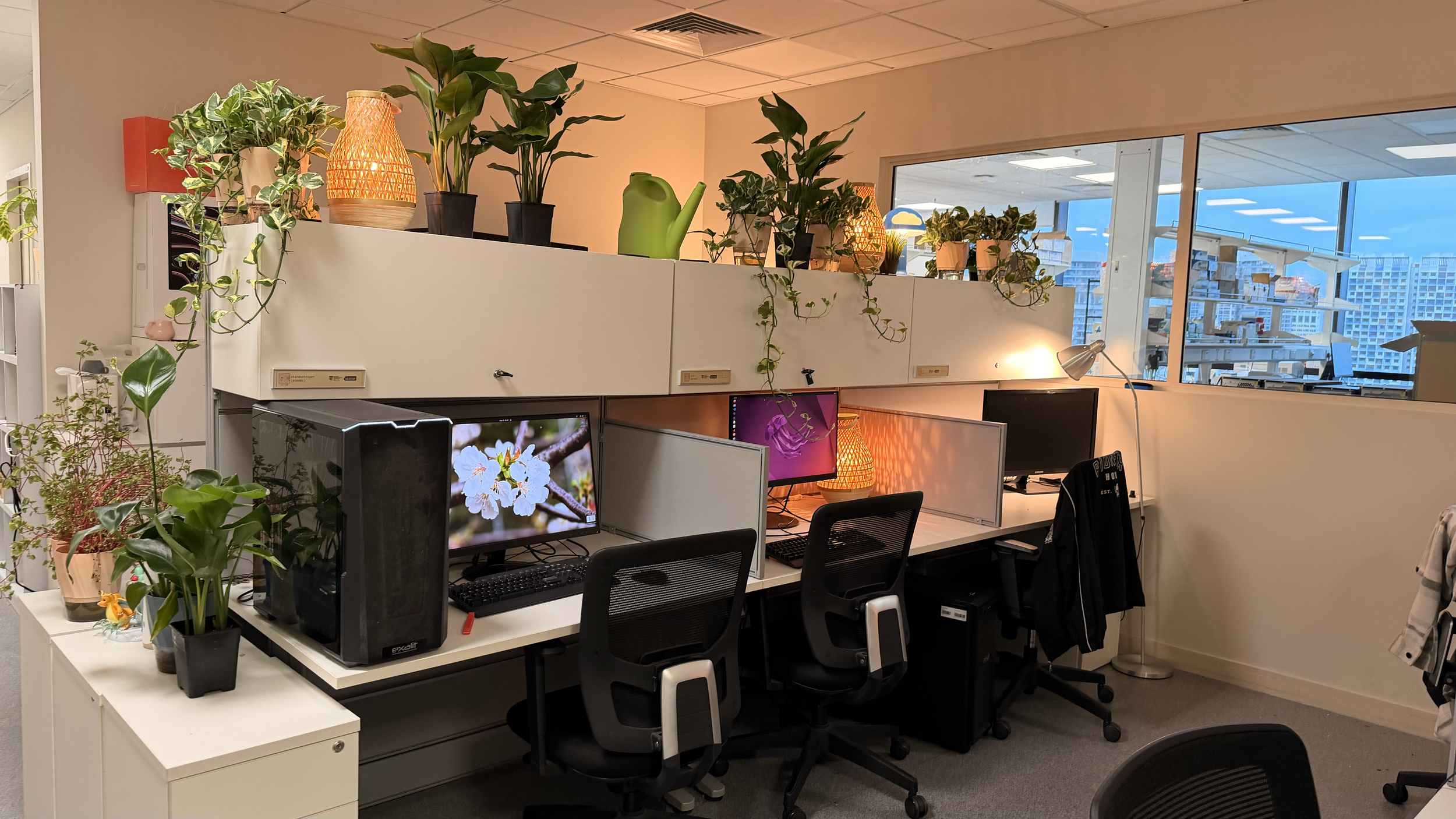 Our current space with more plants on the way