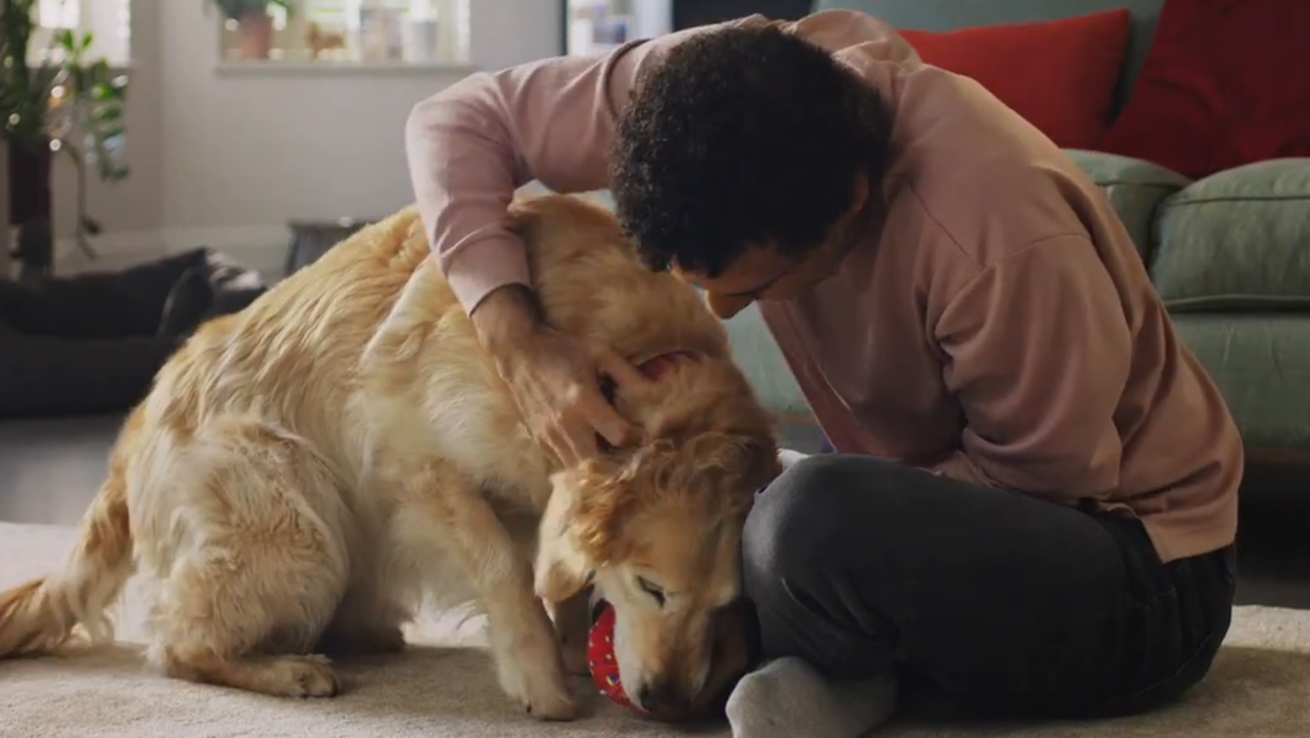 Resolve Sniffs Out Talent When Facing Its Toughest Test