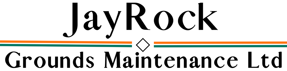 Mentorship at JayRock