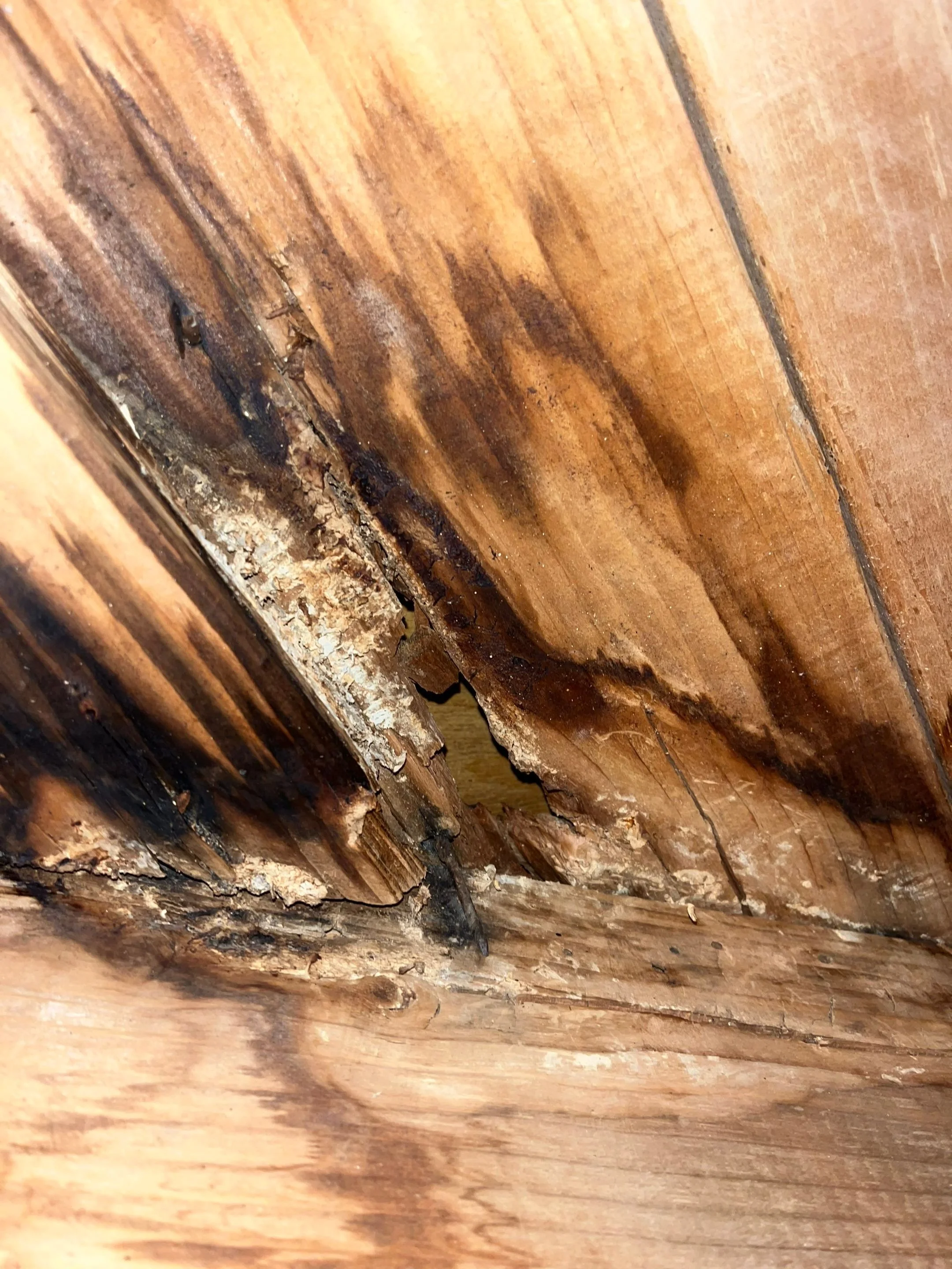 attic roof leak repair in south jersey