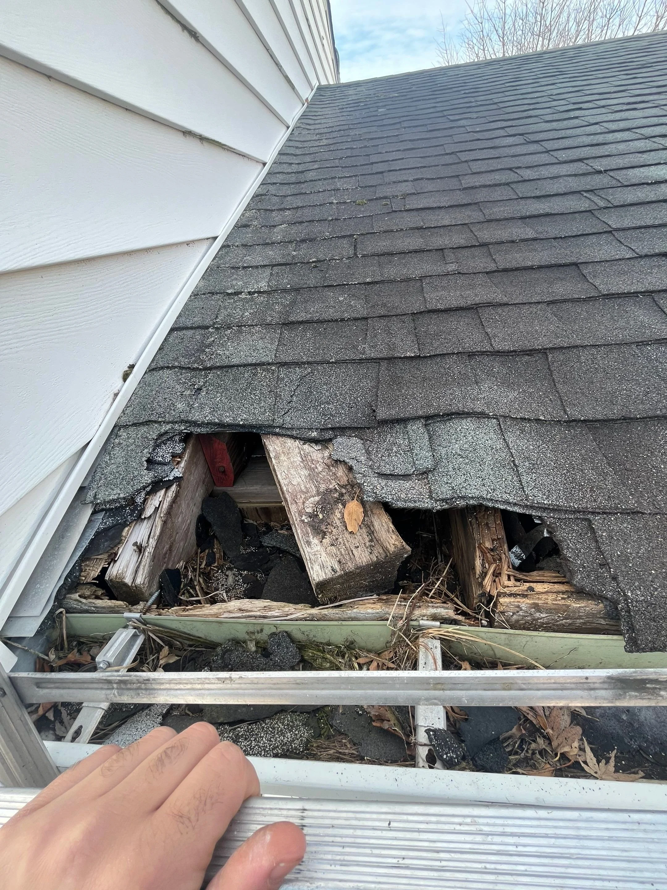emergency roof repair in south jersey