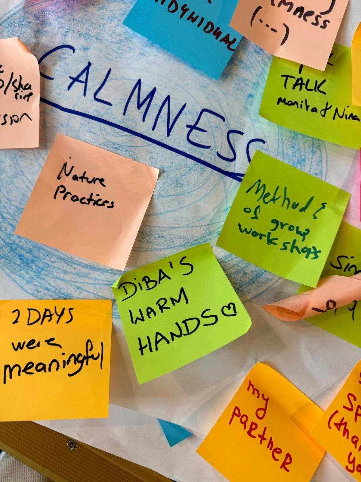 Colorful sticky notes on a surface with handwritten words and phrases, surrounding a large word 'CAL M NesC' written in blue. The sticky notes include phrases such as 'Nature practices,' 'Diba's warm hands,' 'Method of group workshops,' and '2 days w