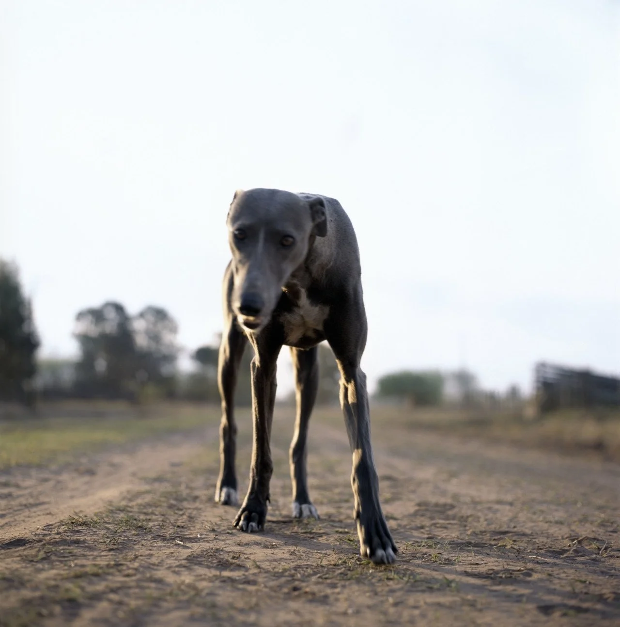 nyc68938-teaser-story-big.jpg