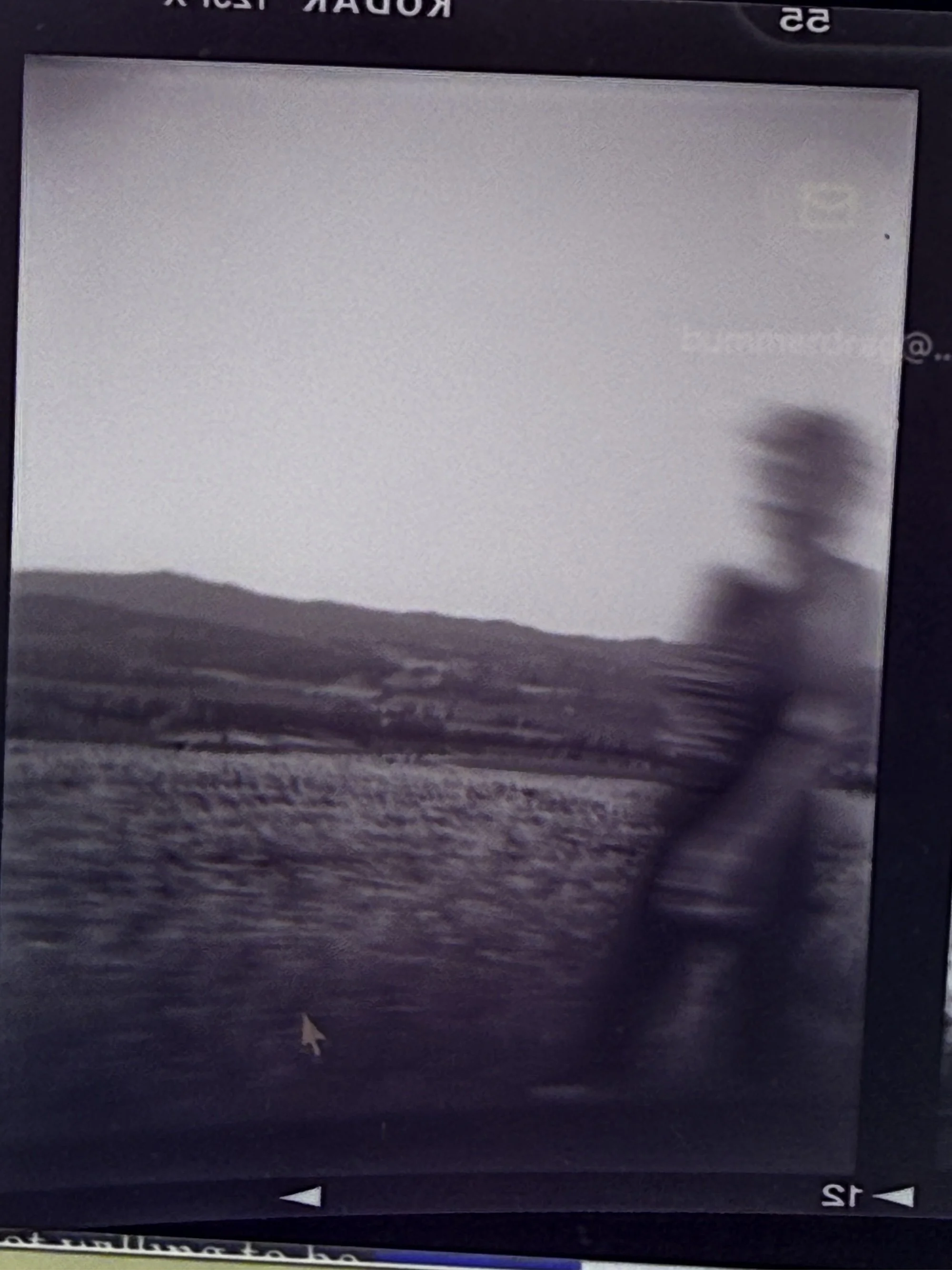 Interpreting Old Film Negatives Through a Modern Lens