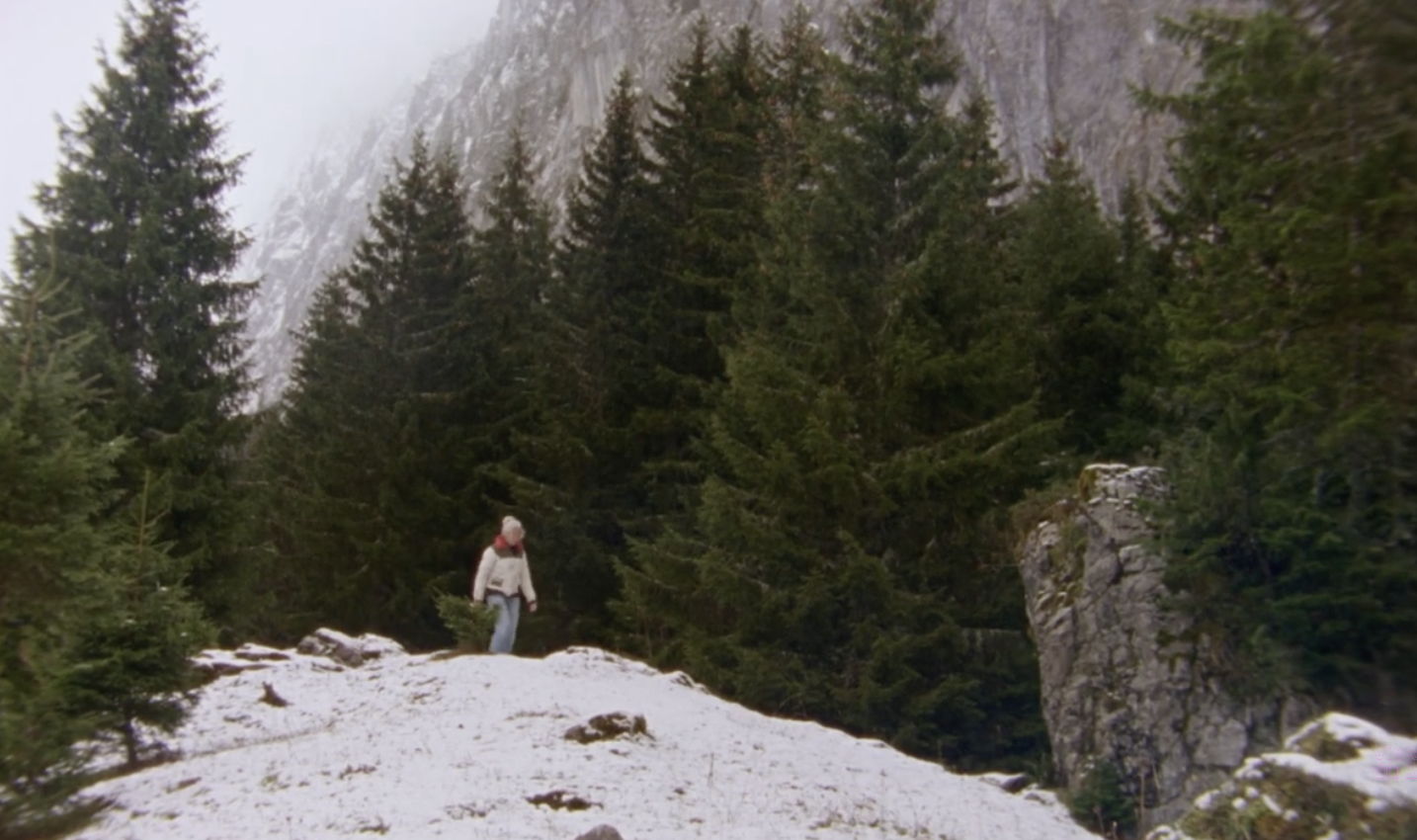 Manon Coubia’s “Forest High”