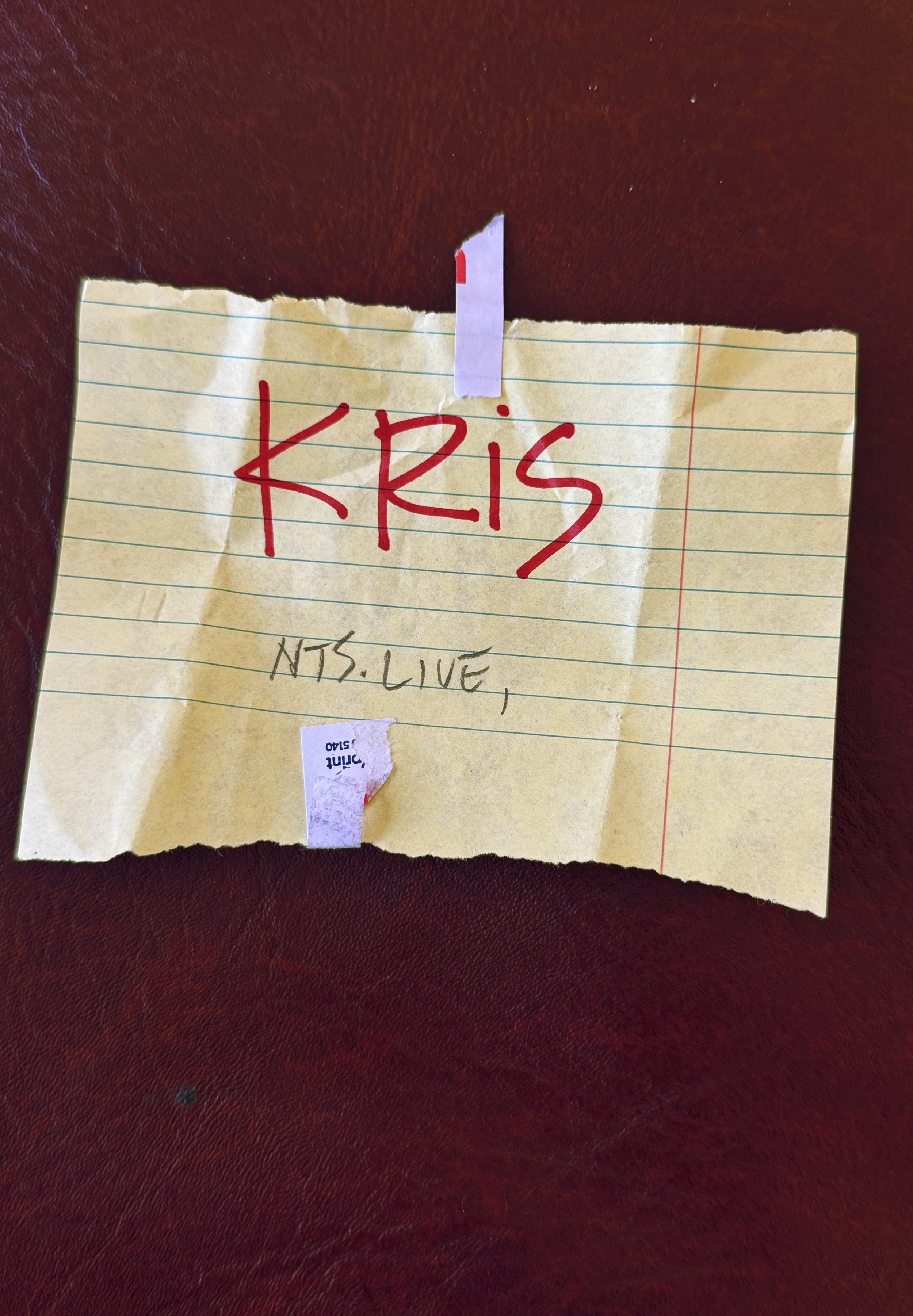 Maria Bamford’s East LA Over-50 Singles Social Club