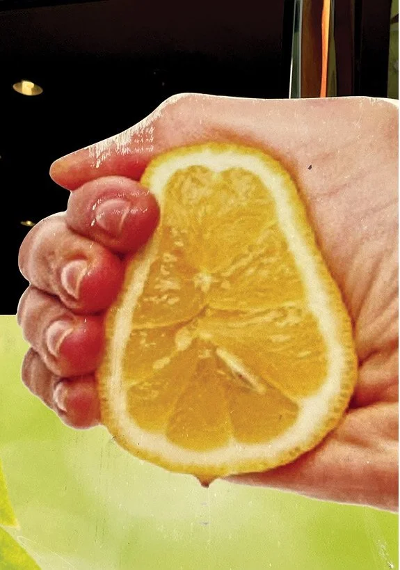 Kristina Feliciano_Venice lemon.jpg