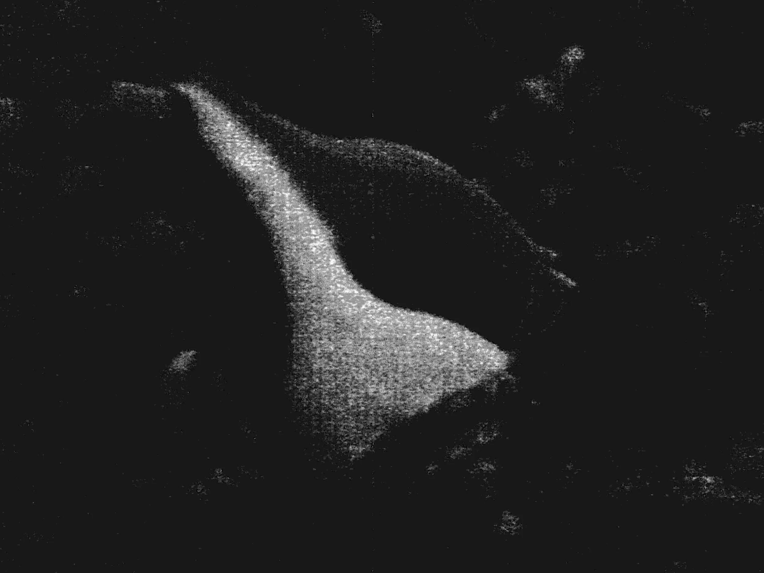 Kristina Feliciano_Danny's Backyard_shell.jpg