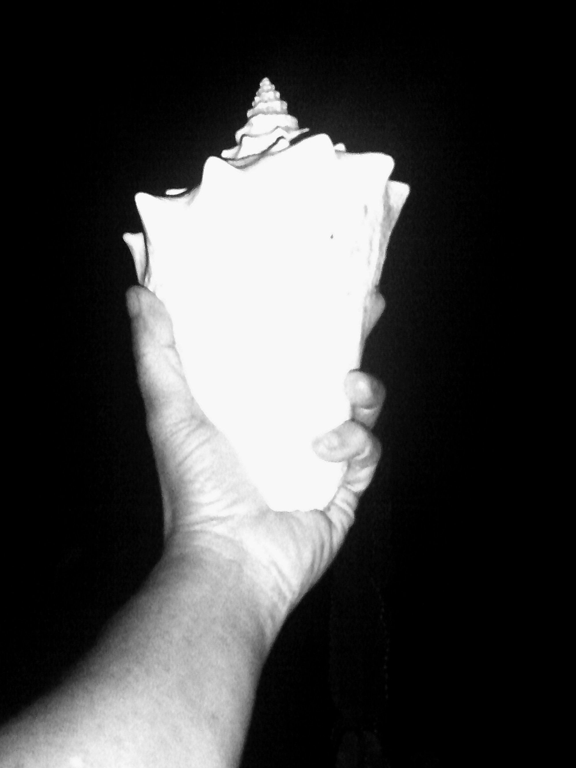 Kristina Feliciano_Danny's Backyard_hand and shell.jpg