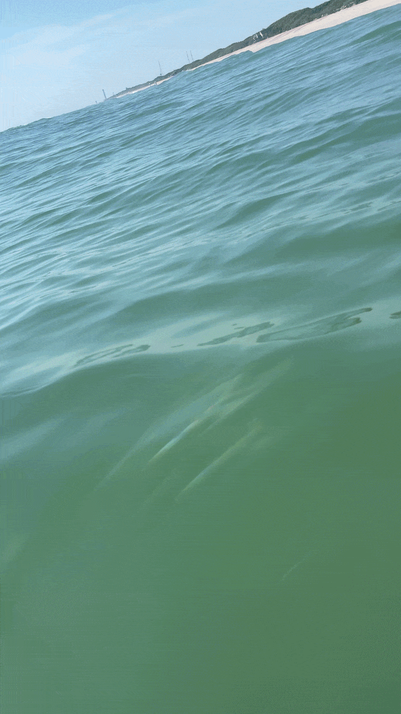 ocean3-ezgif.com-optimize.gif