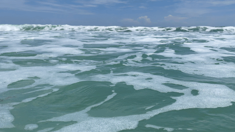 ocean1-ezgif.com-video-to-gif-converter.gif