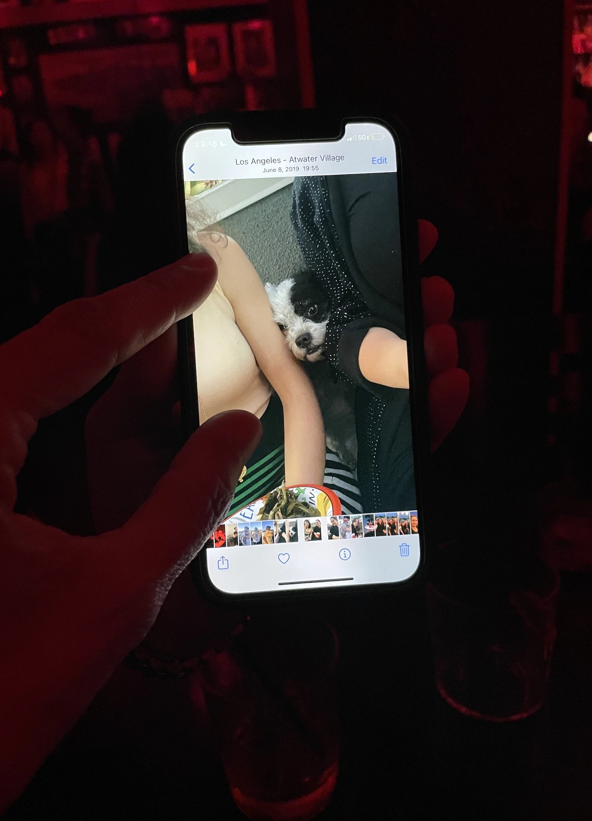 Kristina Feliciano_show me your dog.JPG