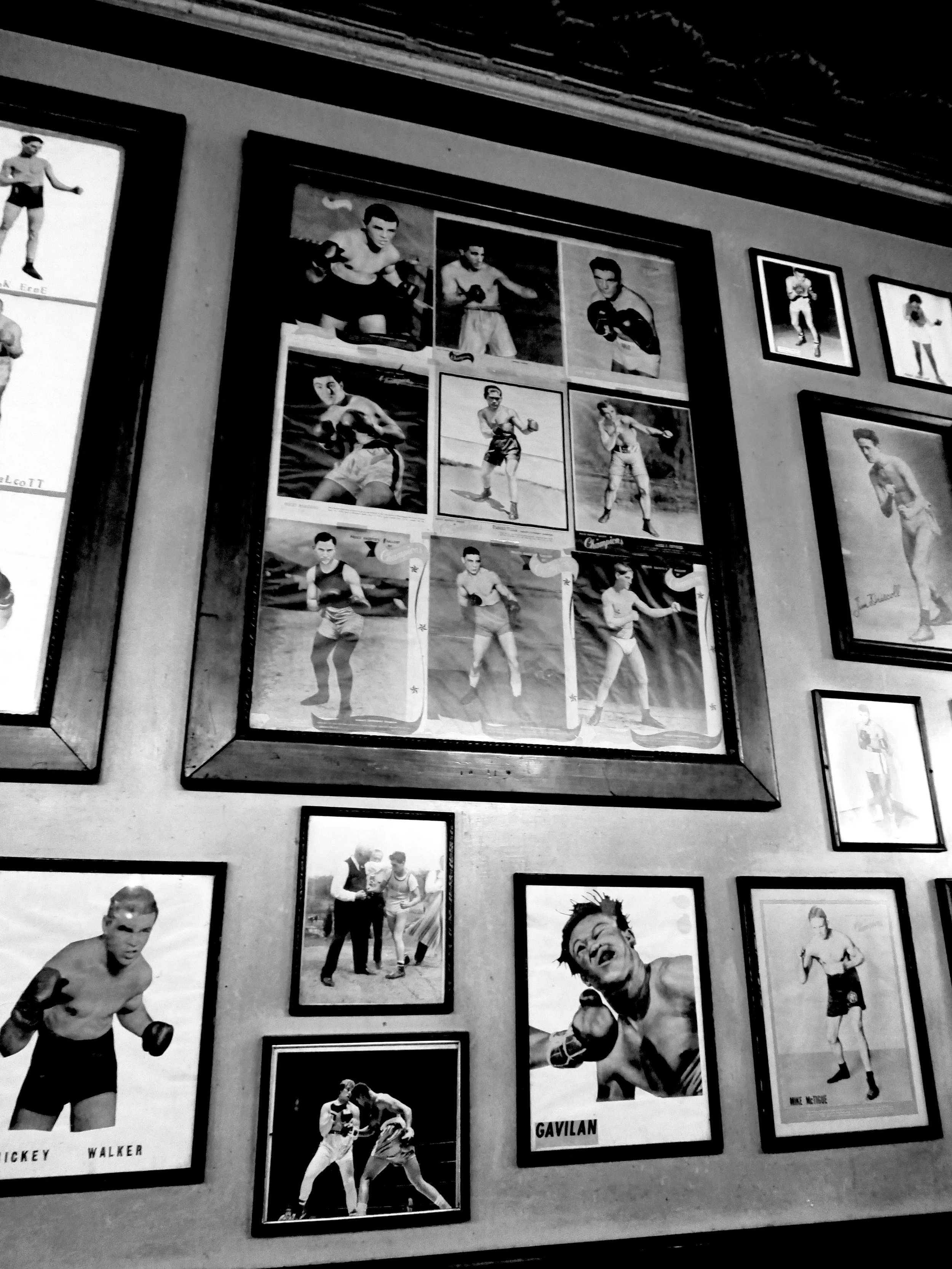 Kristina Feliciano_fanelli boxers.jpg