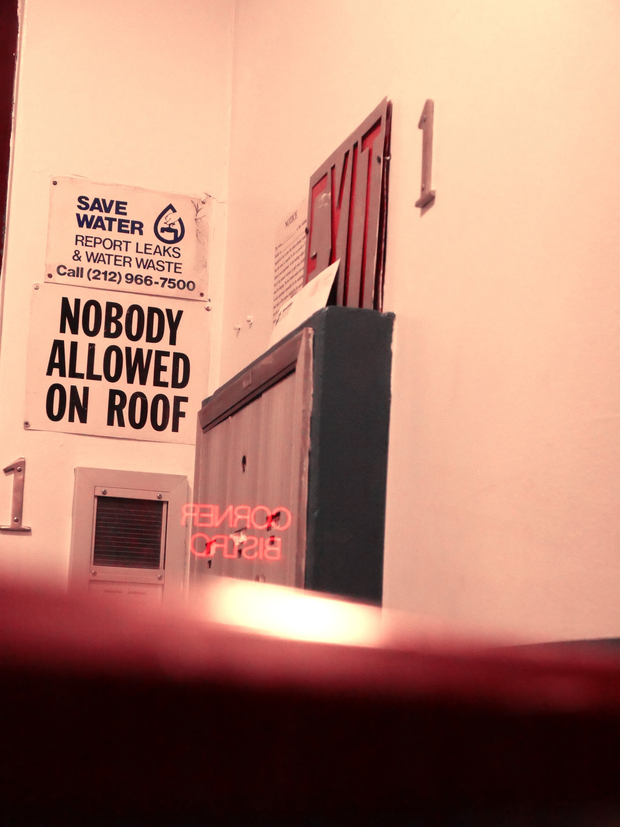 Kristina Feliciano_Roof.jpg