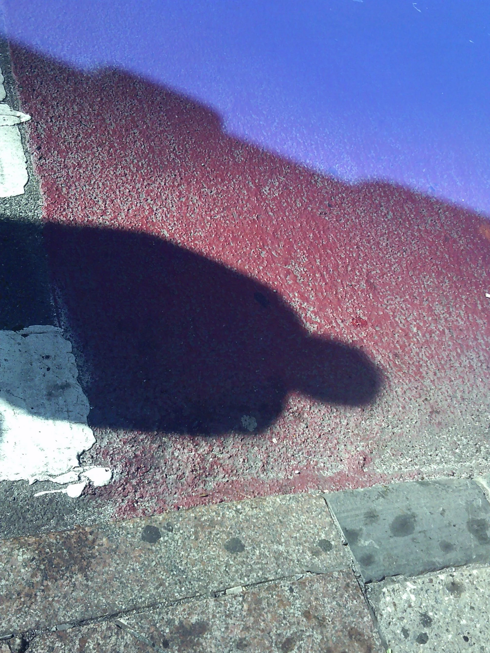 Kristina Feliciano - NYC shadow at crosswalk web.jpg