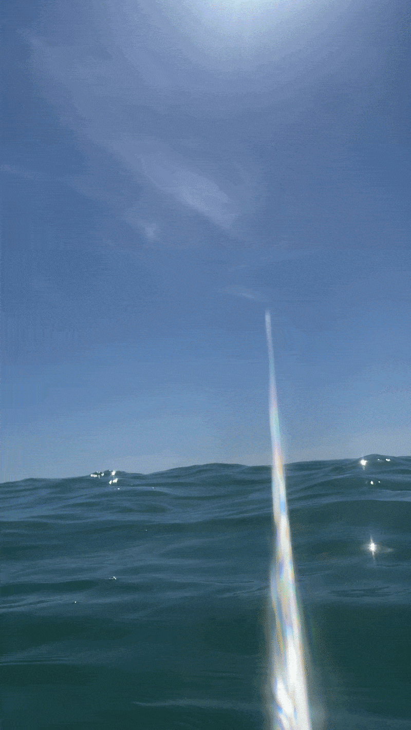 ocean4-ezgif.com-optimize.gif