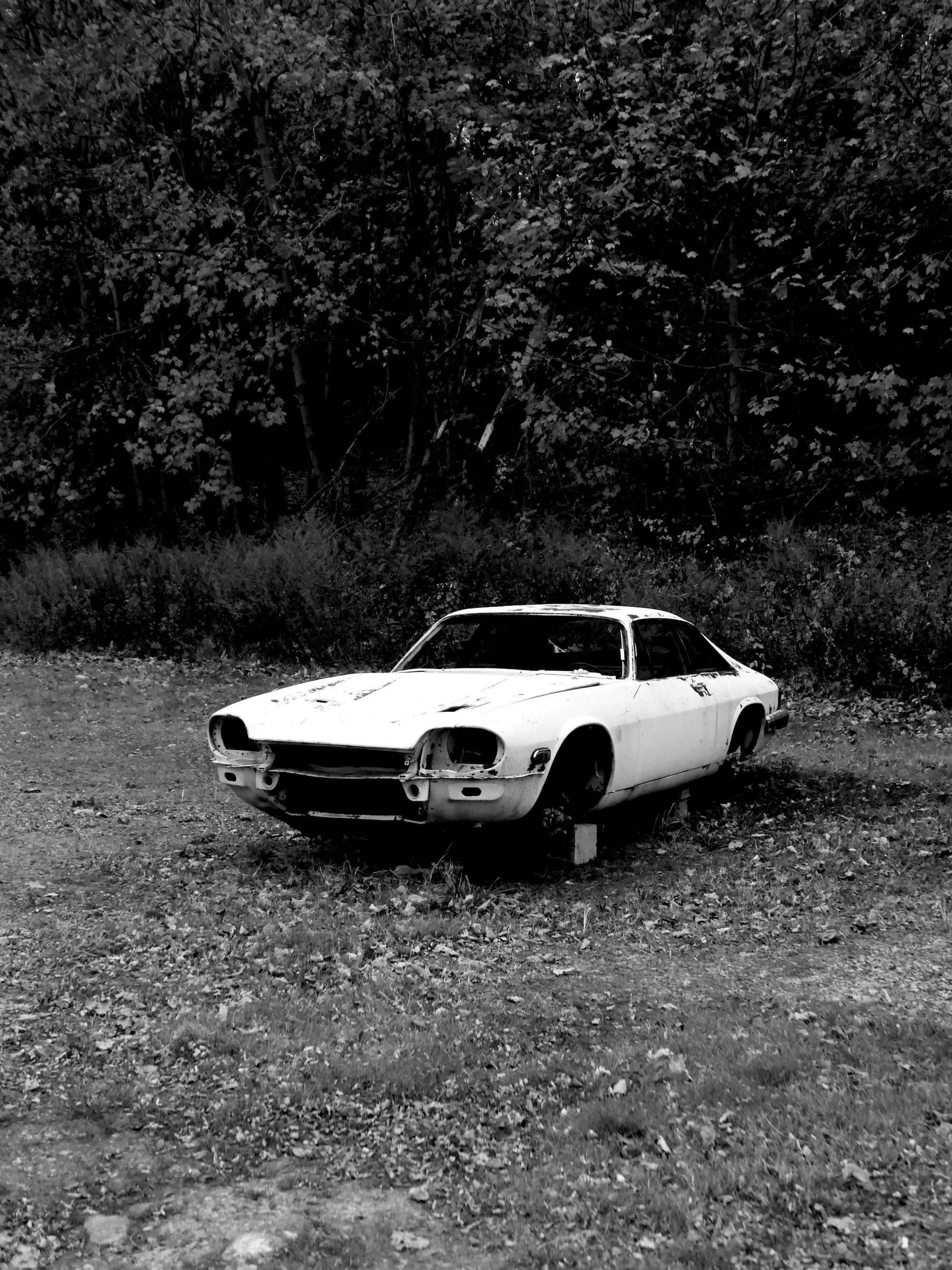 _kristina feliciano - car shell - web.jpg