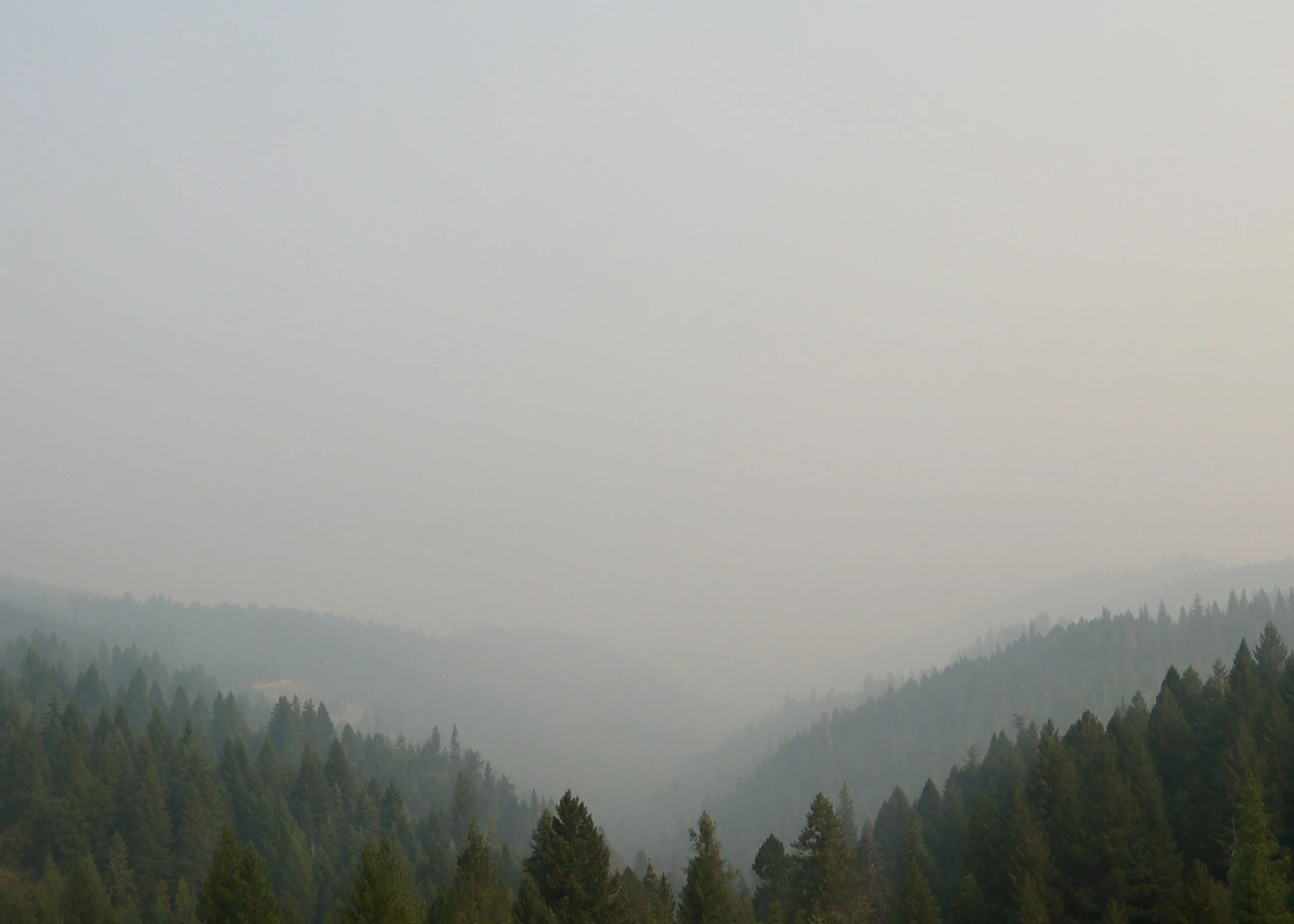 Climate Anxiety and Eco-Grief: Finding Community in a Changing World