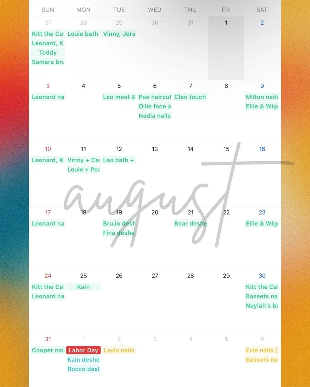 From a handful of names to a fully packed calendar &mdash; and we&rsquo;re only halfway through November! 📆🐾

Sharing this makes me emotional because I remember when I first started out, wondering if the bookings would come. Now? I&rsquo;m fully bo