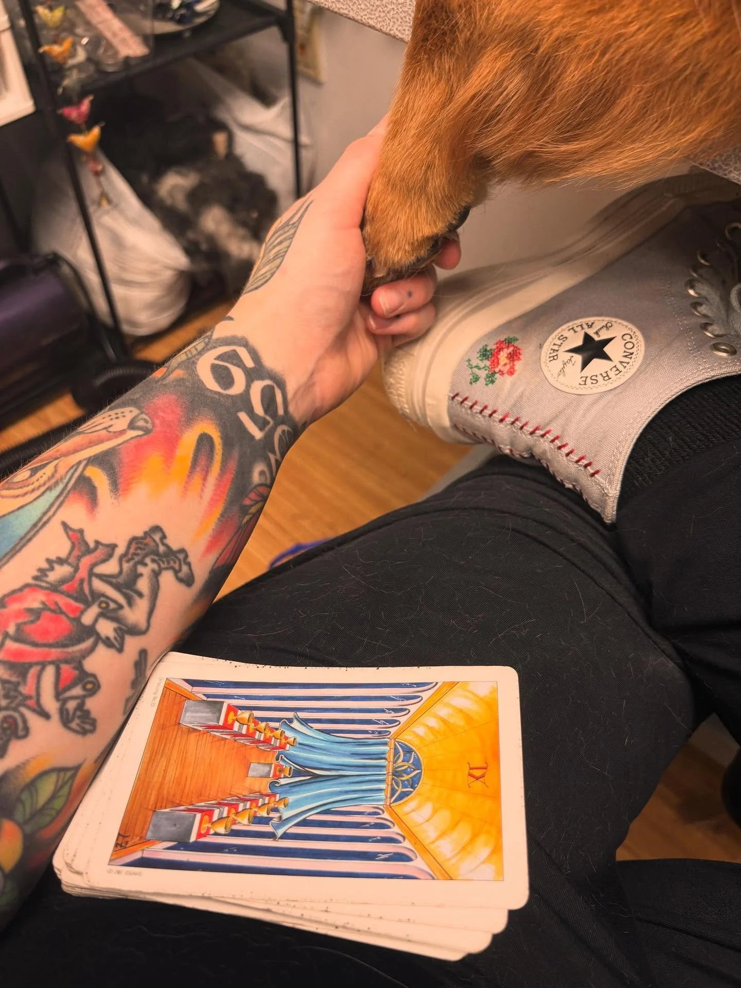 Did you know?
My approach to your canine &amp; feline&rsquo;s comfort doesn&rsquo;t begin on the grooming table &mdash; it begins even before their leash or carrier is placed in my hands.

I let every animal arrive in their own energy.
They&rsquo;re 