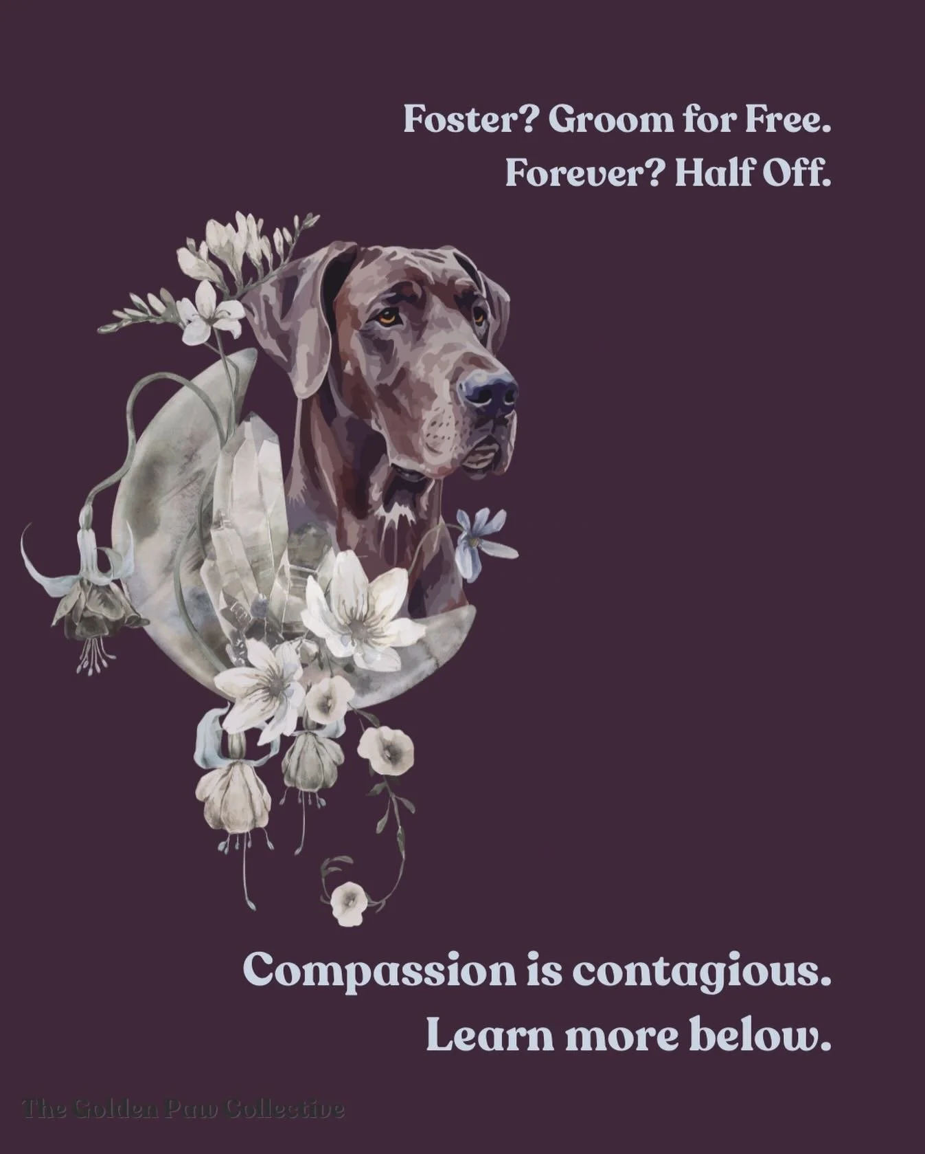 Lately I&rsquo;ve been reflecting on how to give back to my community in ways that feel intentional, heart-led, and genuinely uplifting.

I&rsquo;ve started the process of volunteering with PAWS Chicago to help give those sweet shelter angels an ener