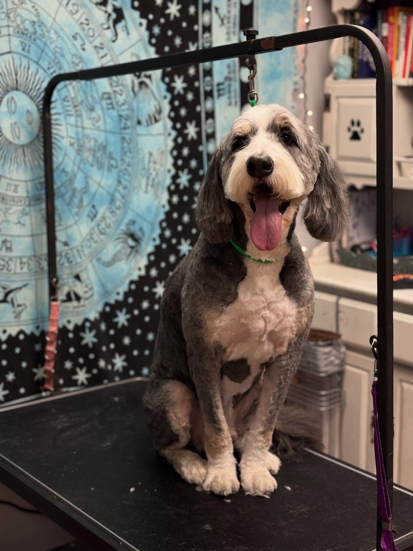 Louis told me him &amp; his family are going on vacation to the sandy beaches of Florida 🏝️ aaaand he requested his summer cut accordingly 💁🏼&zwj;♀️ who am I to do anything but oblige this sweet boy?!