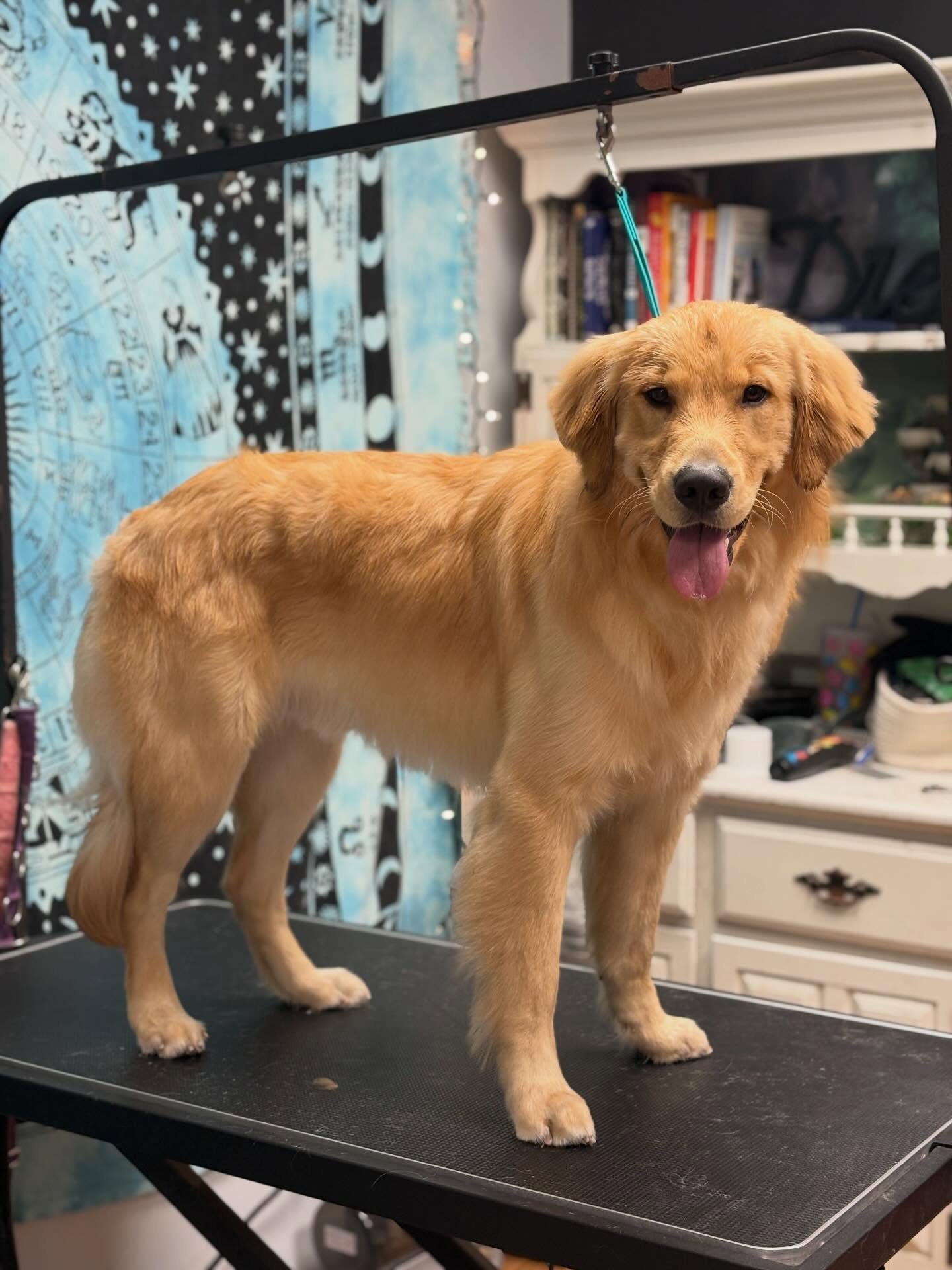 Benny 💞 I absolutely adore this boy!