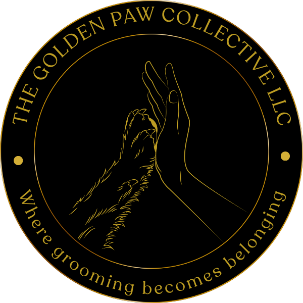 Why I Left Corporate Grooming - And What I Found Instead