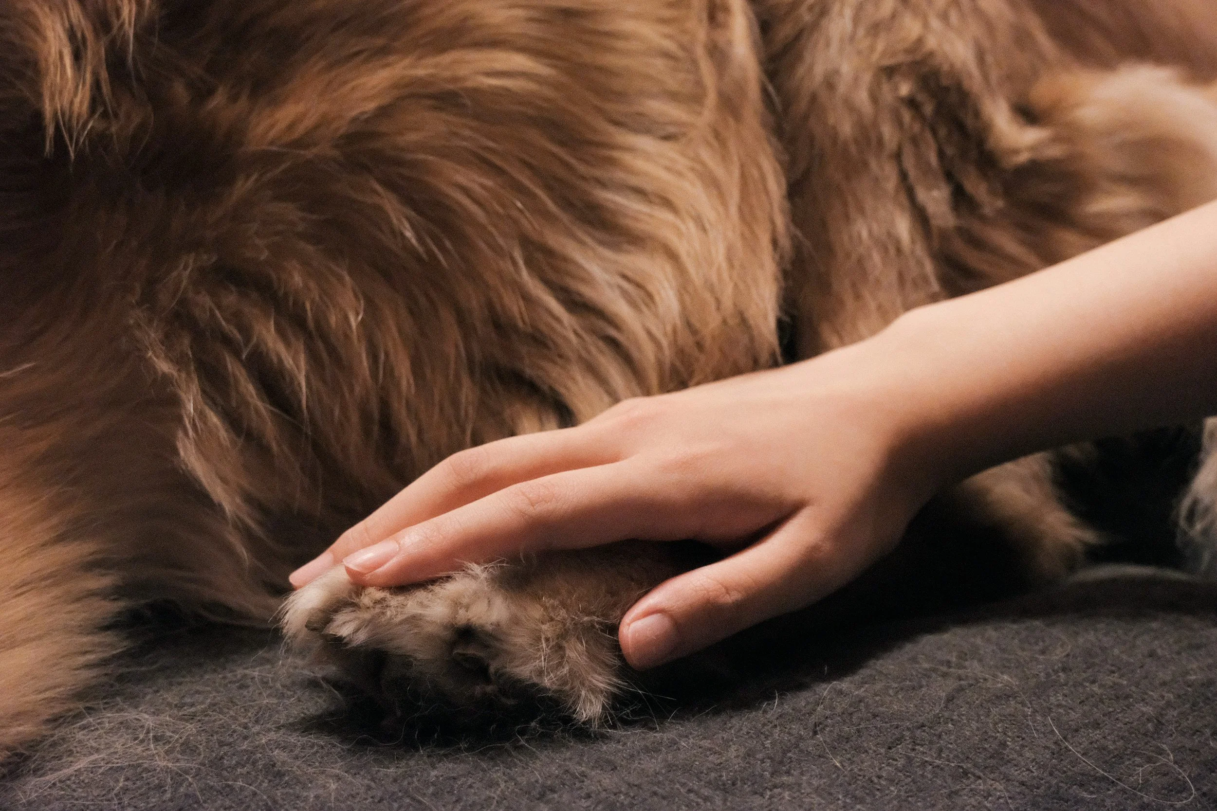 What Does “Bad for Nails” Actually Mean? 