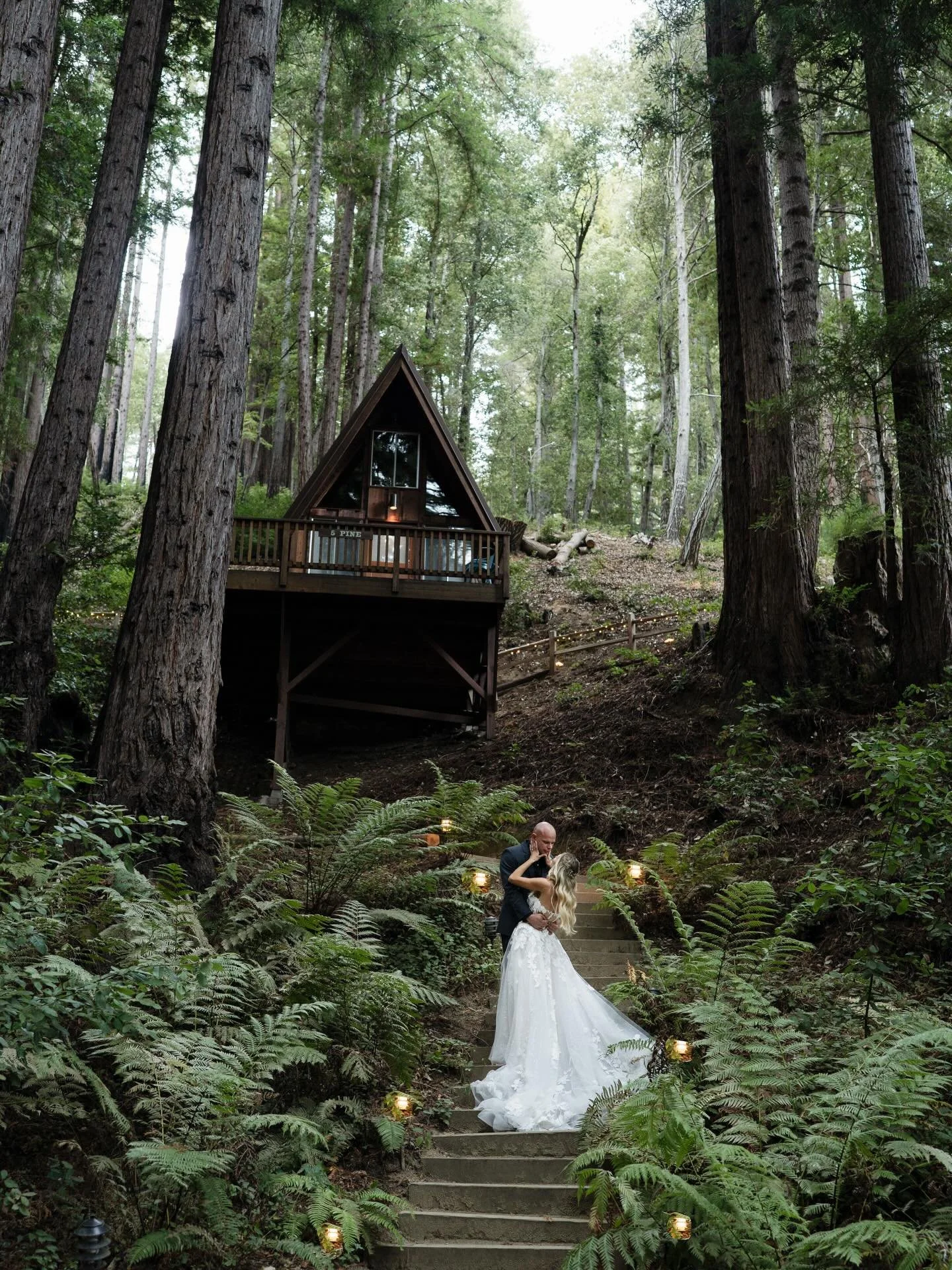 Kelsey &amp; Mitchell traveled all the way from Southern California to say their vows tucked deep in the Santa Cruz mountain redwoods.✨✨✨✨
An intimate day, wrapped in towering trees, soft light, and quiet magic.
No distractions&mdash;just love, beaut