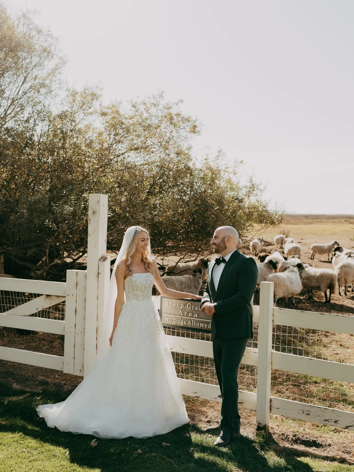 Spending the day at Mission Ranch in Carmel for this wedding felt like something out of a dream, soft light, ocean air, and the calmest energy.

Wedding at Mission Ranch in Carmel, Carmel CA wedding photographer, Mission Ranch Carmel wedding, Carmel 
