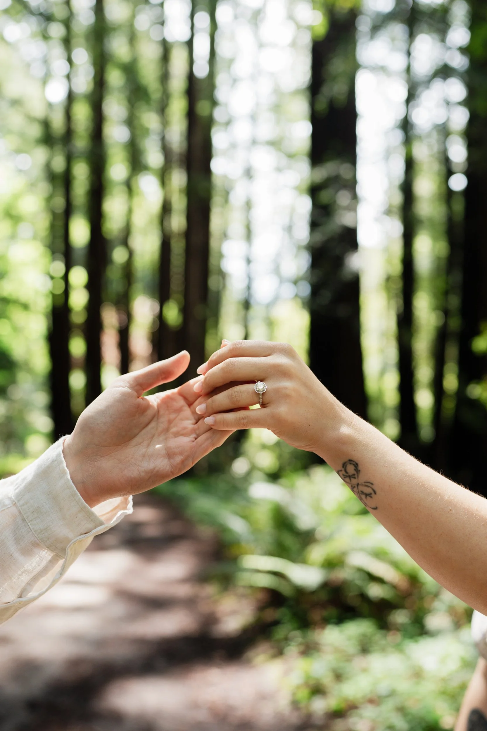 santacruz-engagement-photographer1.jpg
