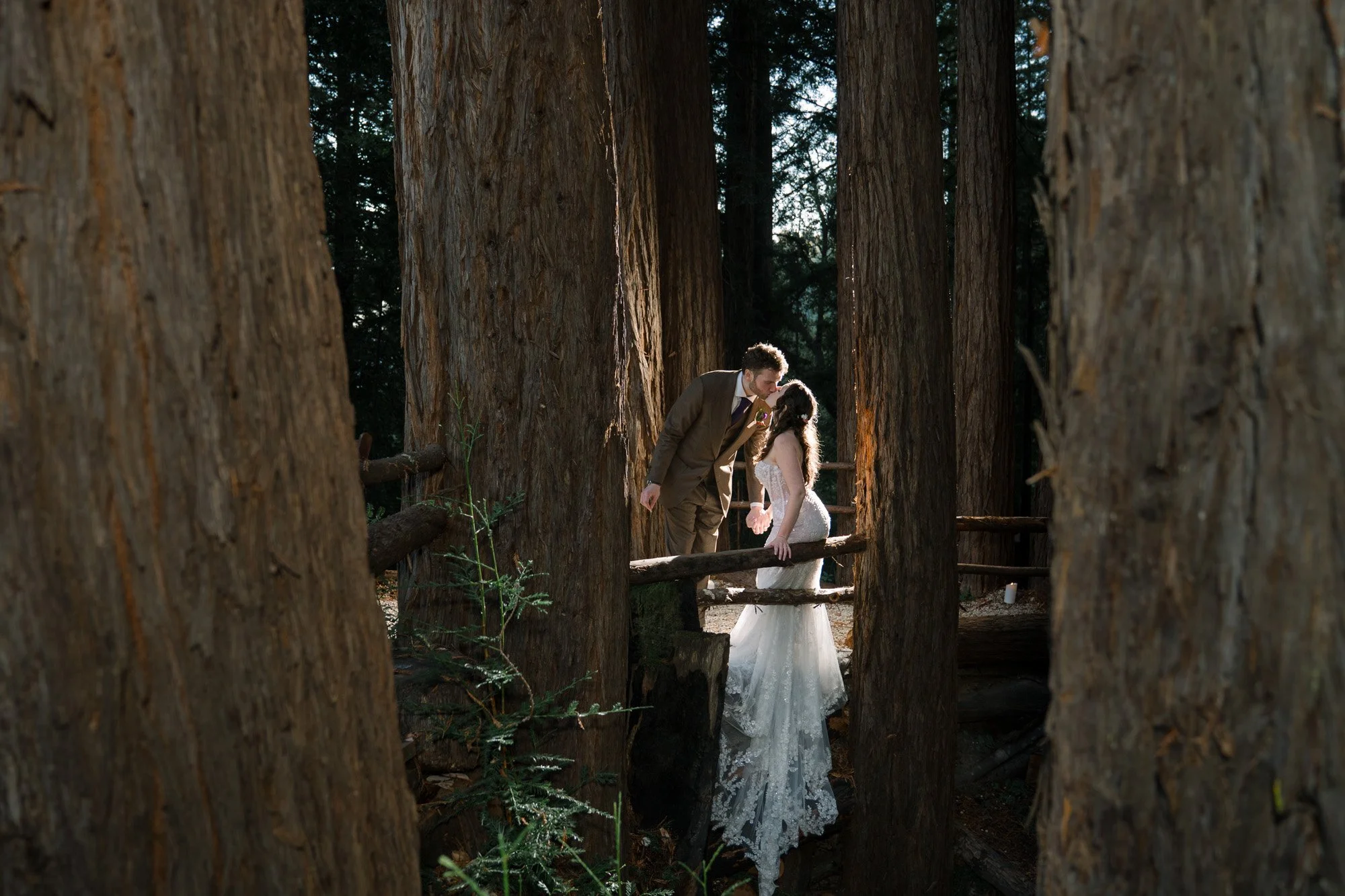 Santa Cruz Mountains redwood wedding setting