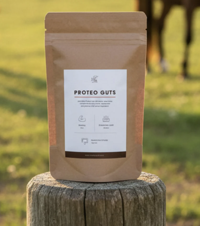 Horse Remedy Proteo Guts