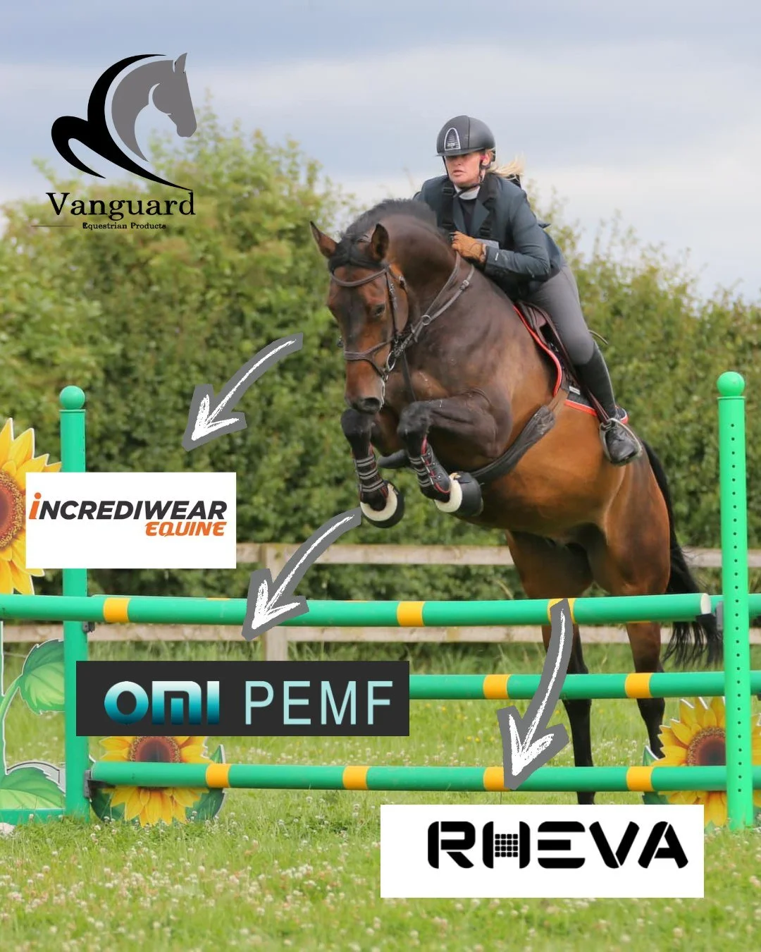 A female equestrian rider jumping over a colorful obstacle on a brown horse during a show jumping competition, with logos of Vanguard Equestrian Products, INCREDIWEAR Equine, OM PEMF, and RUEVA added to the image.