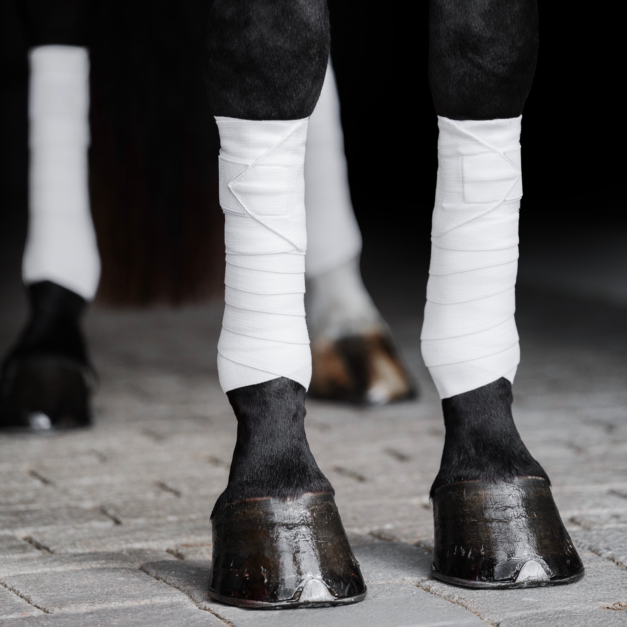 Incrediwear Equine Circulation Exercise Bandages