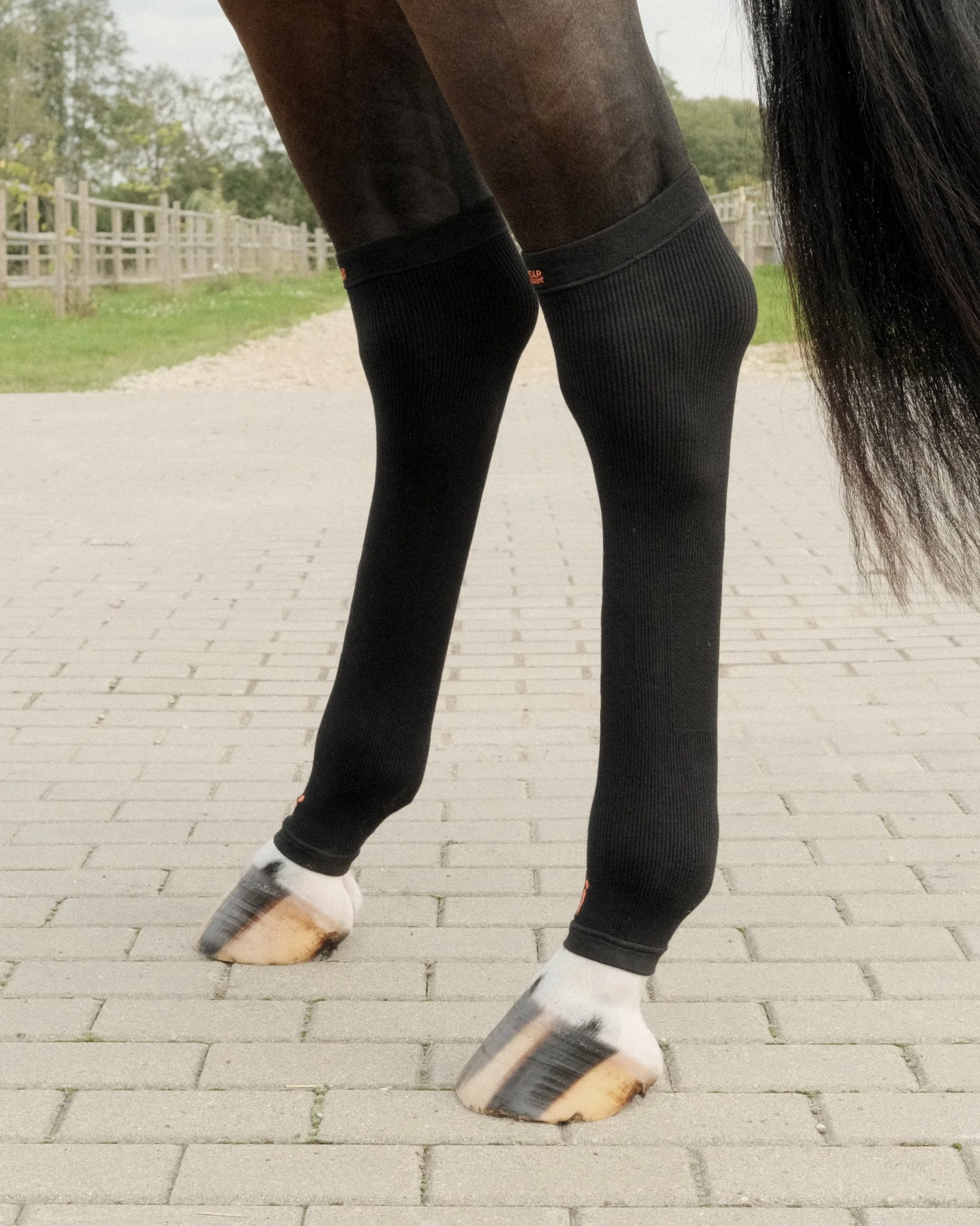 DSCF5915 2.jpg