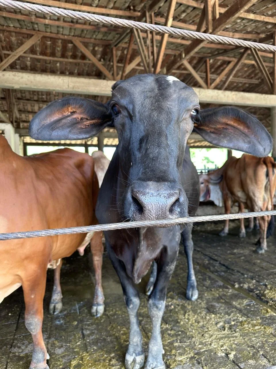 Imagen de WhatsApp 2025-07-14 a las 12.27.27_fea0033c.jpg