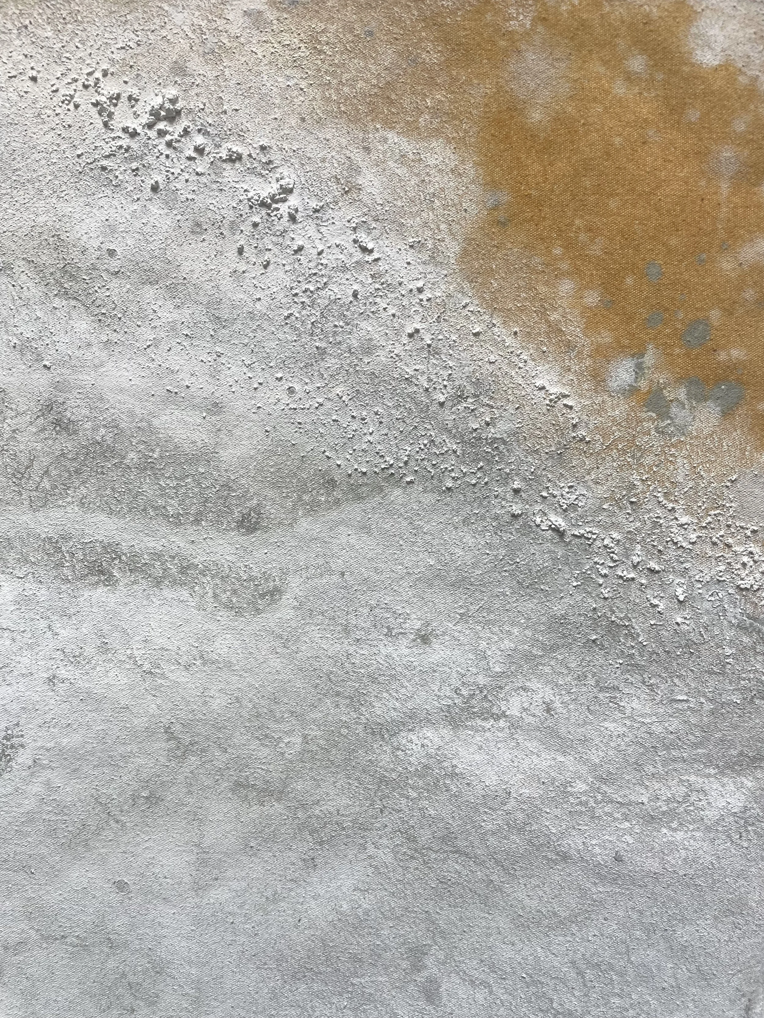 Solum/Saxum 22 (detail)