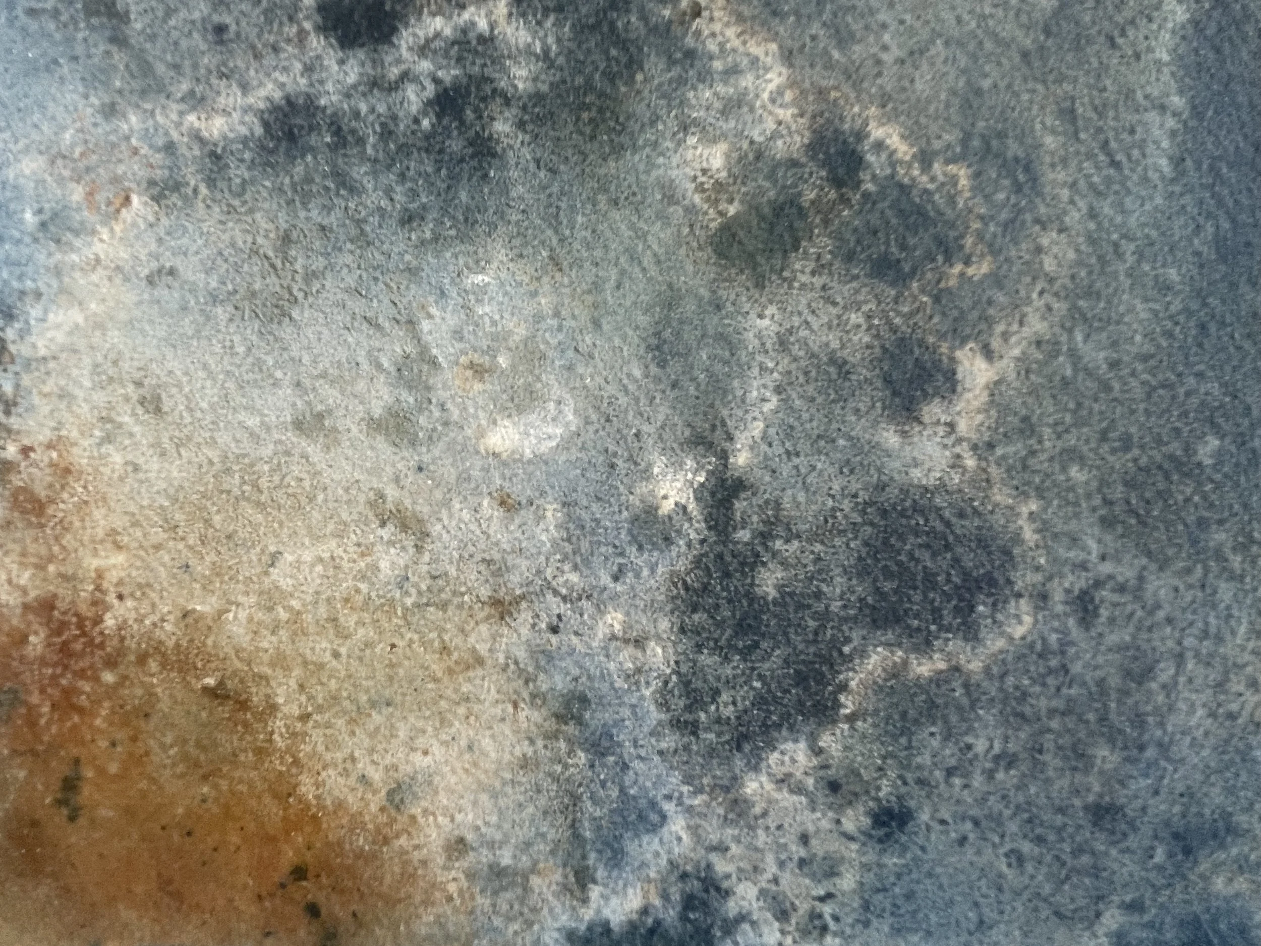 Solaria 25 (detail)