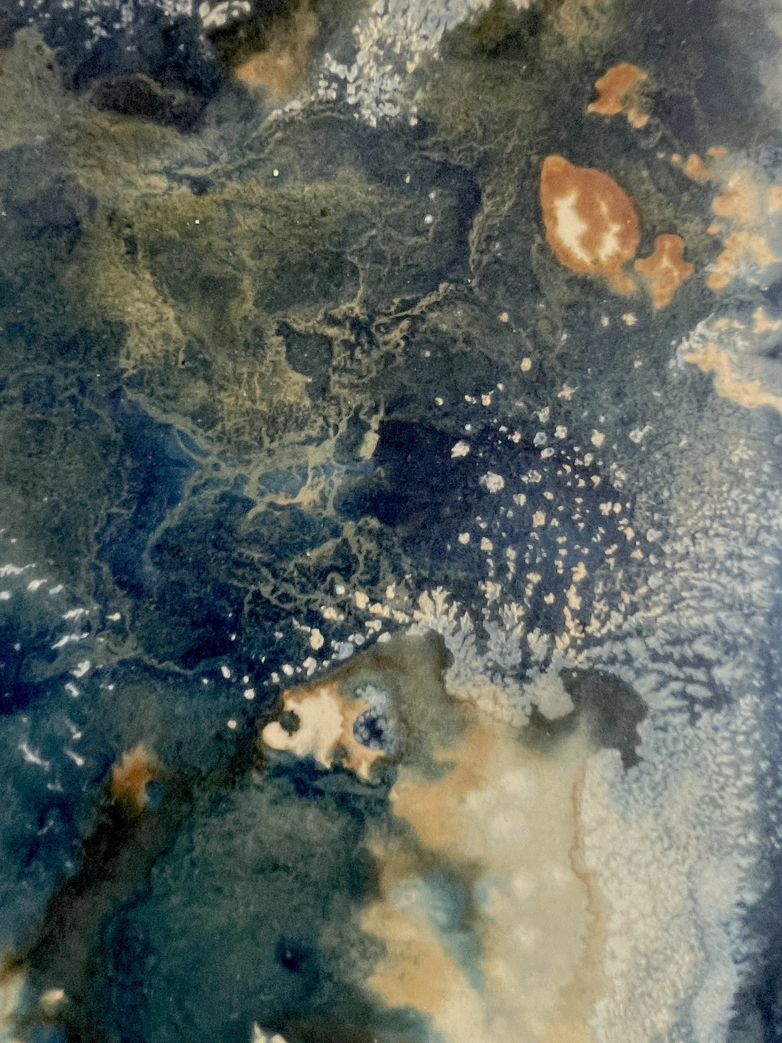 Solaria 2 (detail)