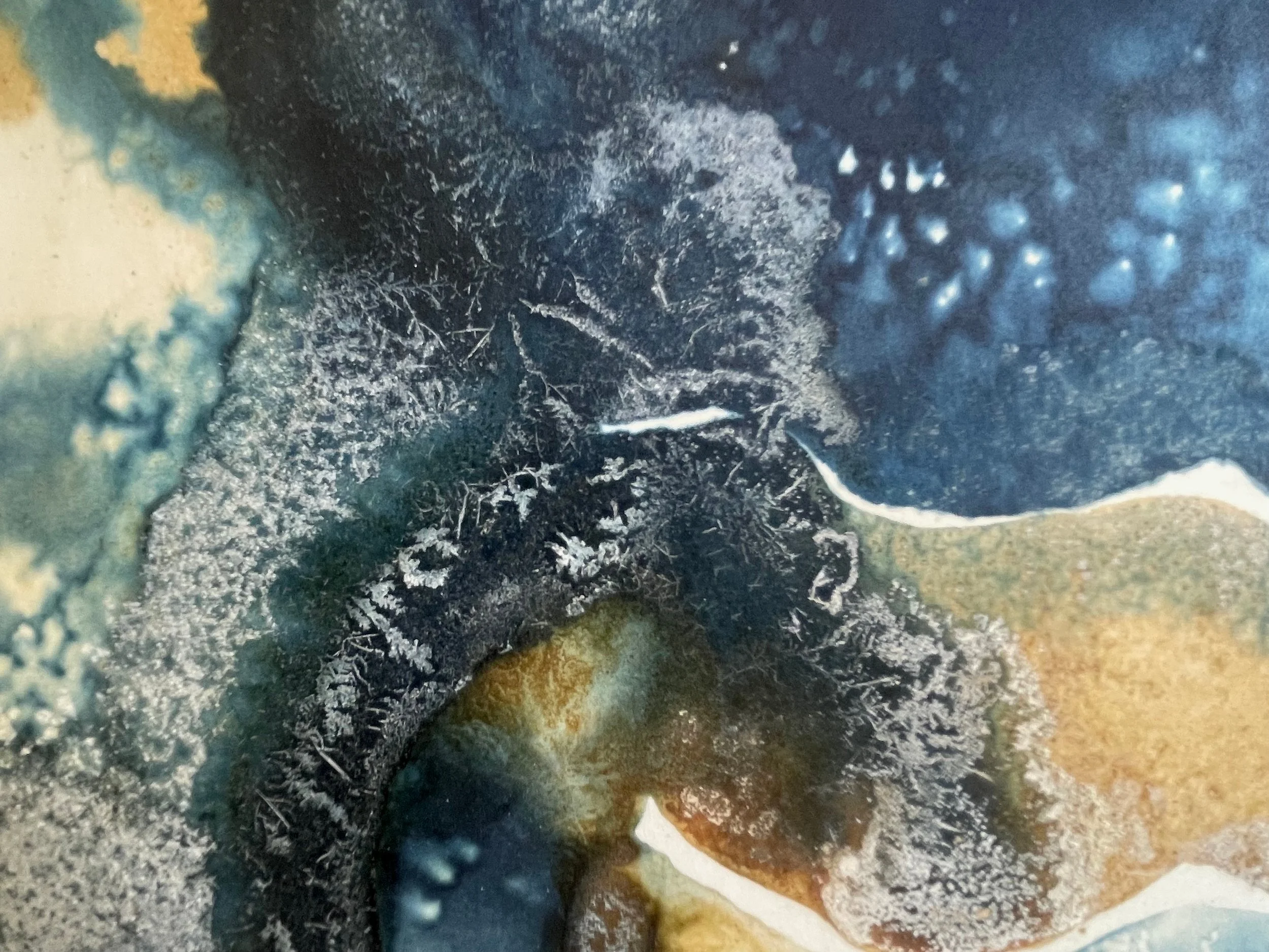 Solaria 40 (detail)