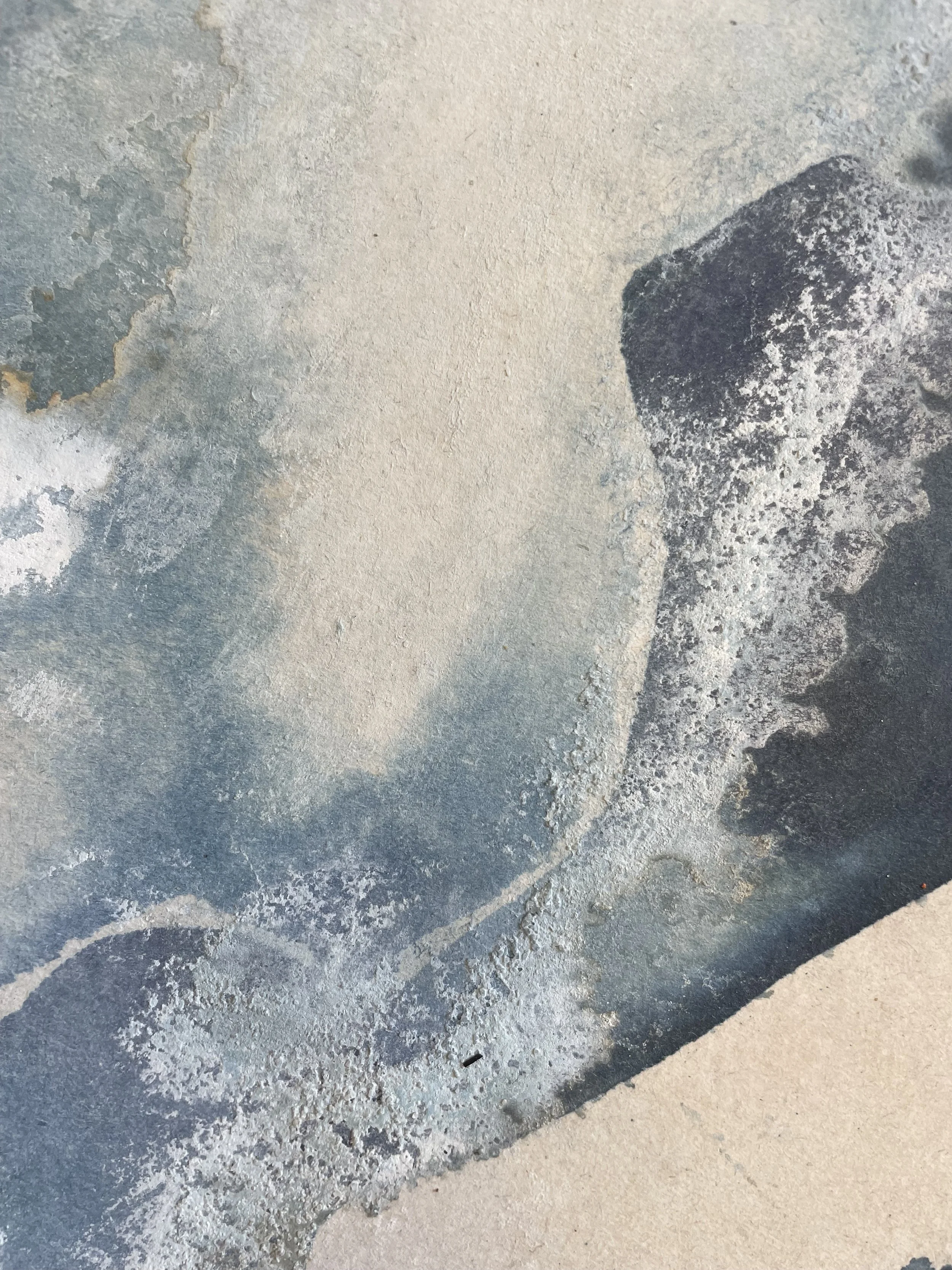 Solaria 13 (detail)