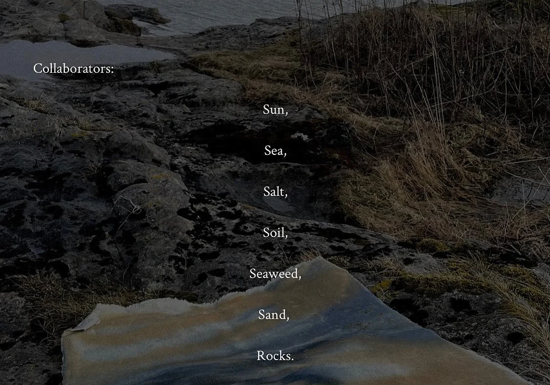 ☀️🌊🌳🌿🪨 #studio #wip