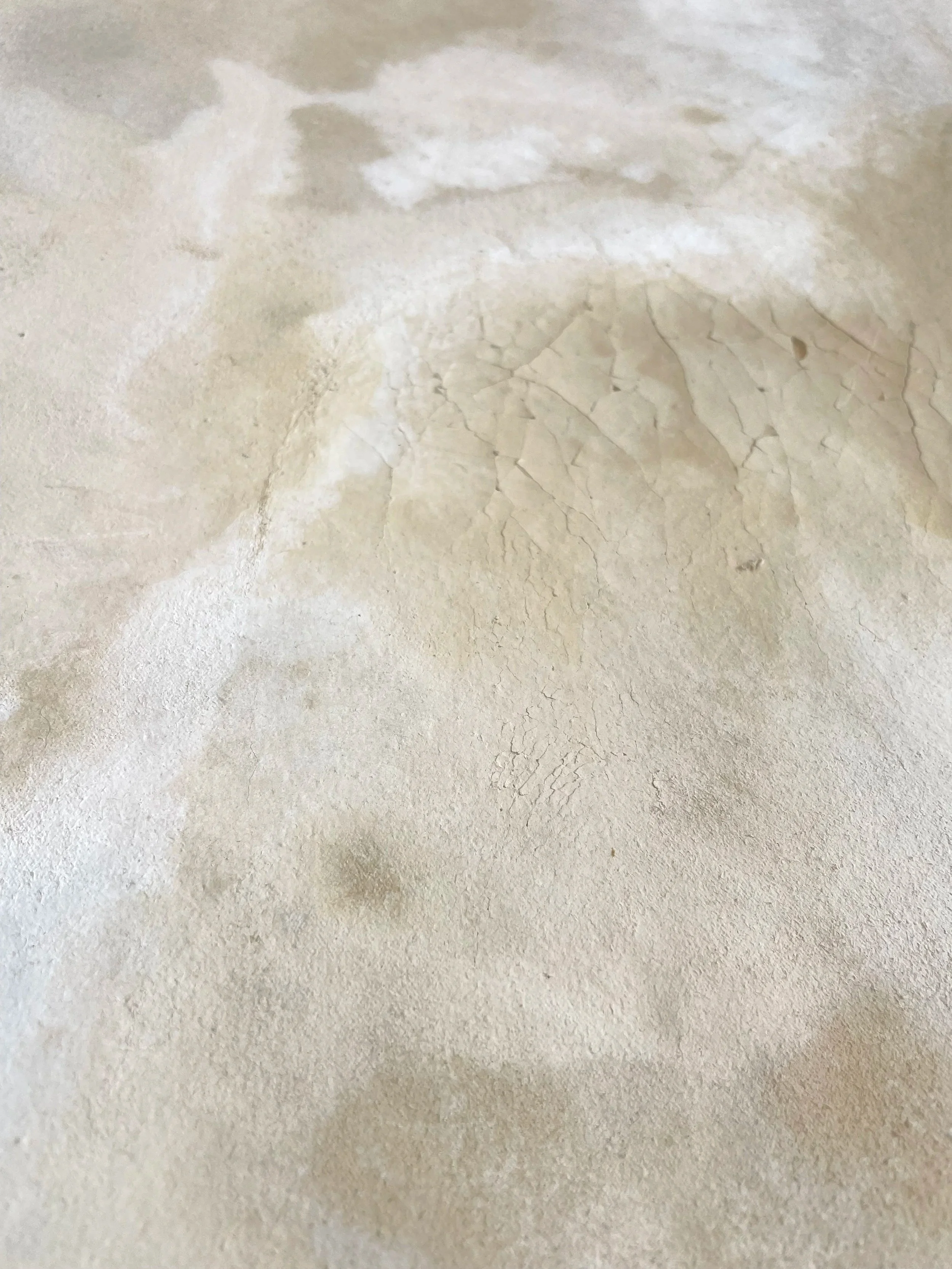 Solum/Saxum 20 (detail)