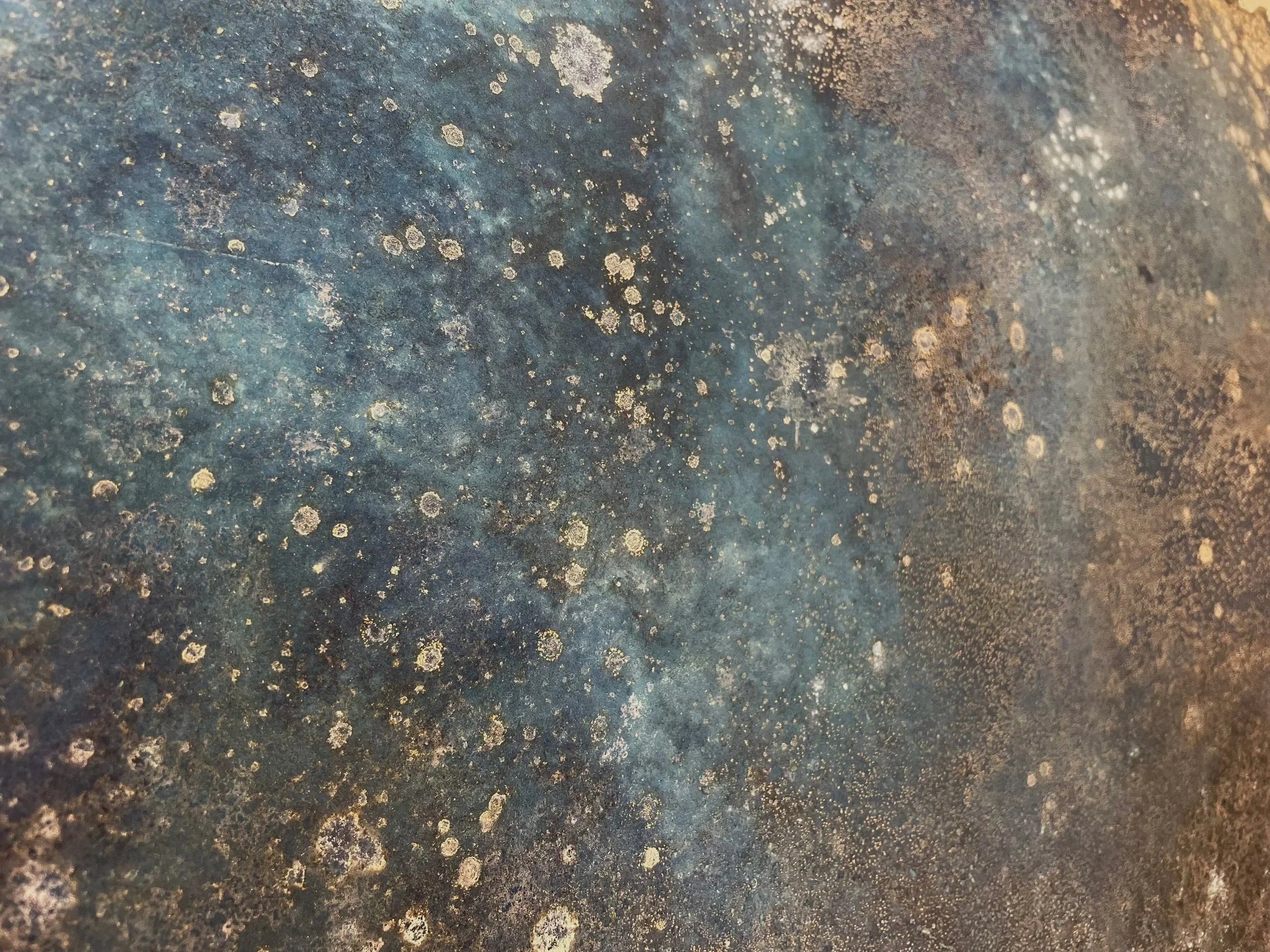 Solaria 28 (detail)